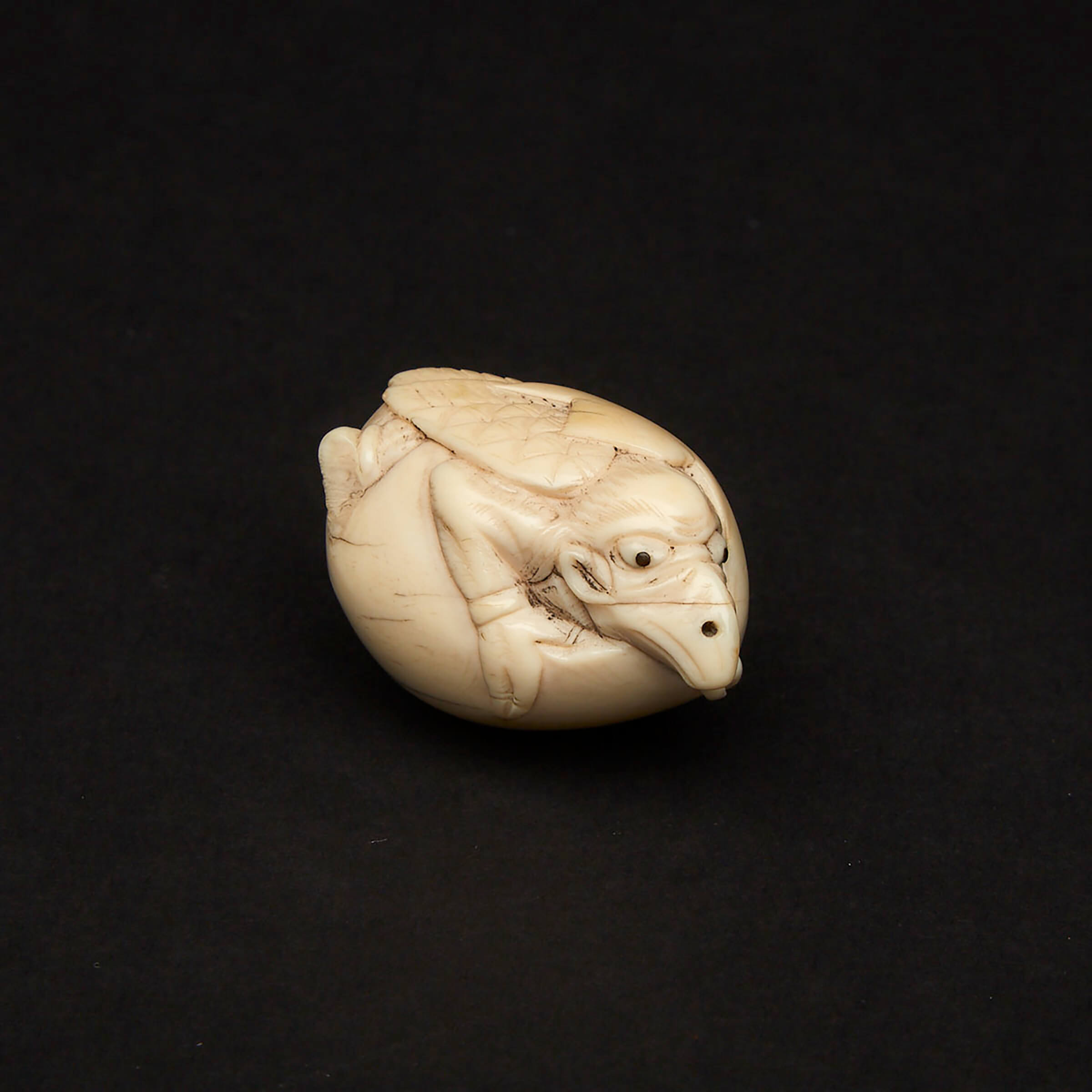 An Ivory Netsuke of a Hatching Tengu, Meiji Period