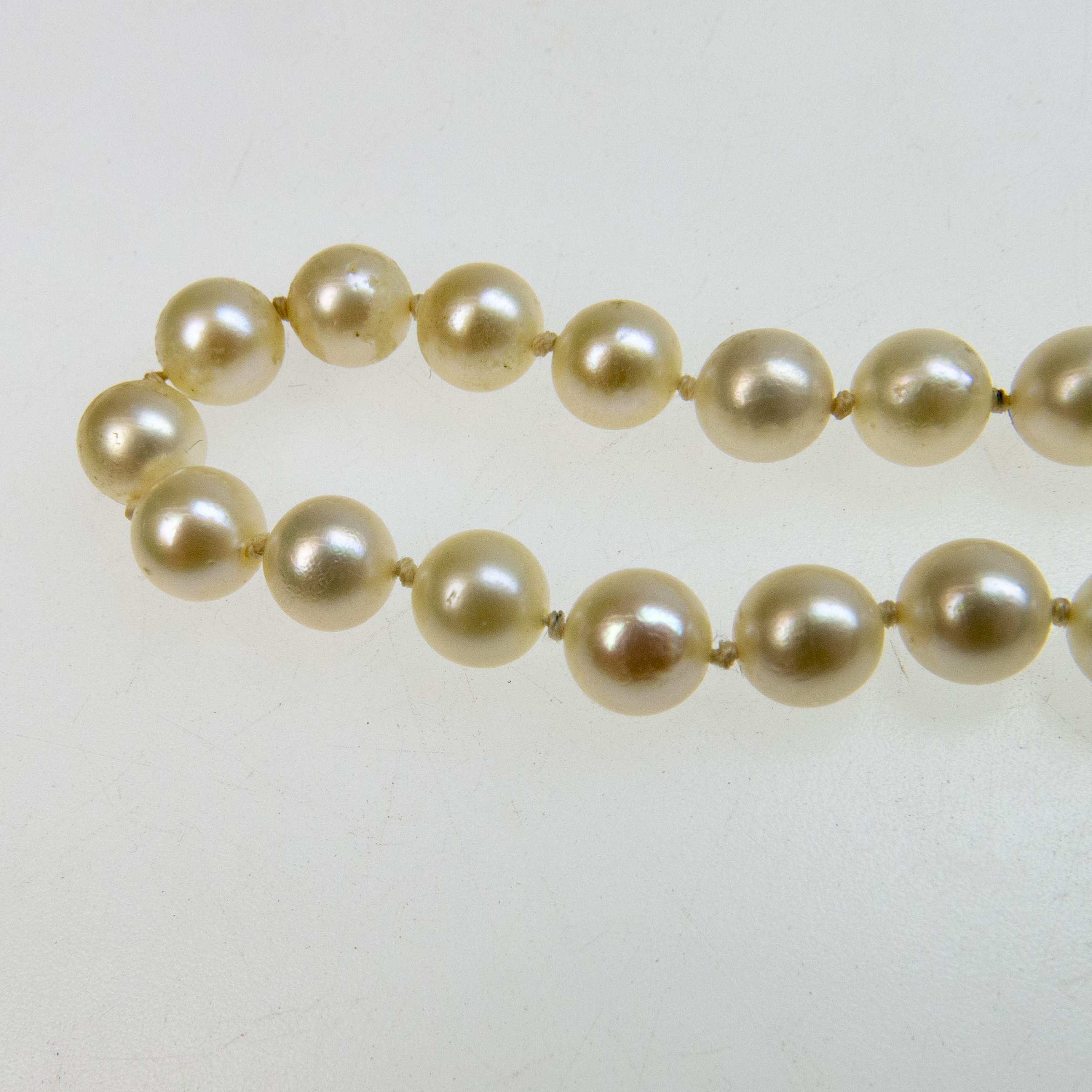 Single Strand Cultured Pearl Necklace 