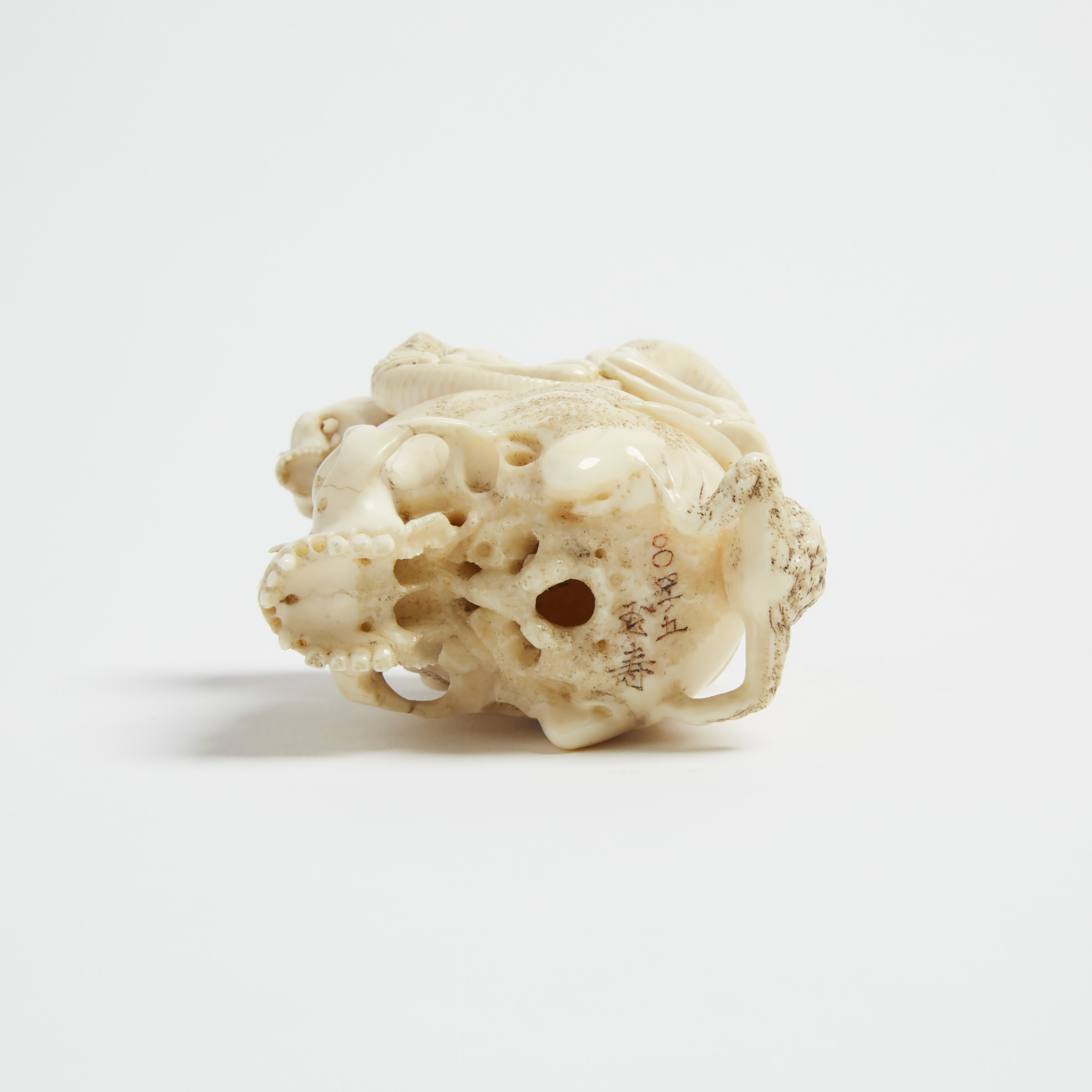 An Ivory Okimono of a Skull, Signed Gyokuju, Meiji Period