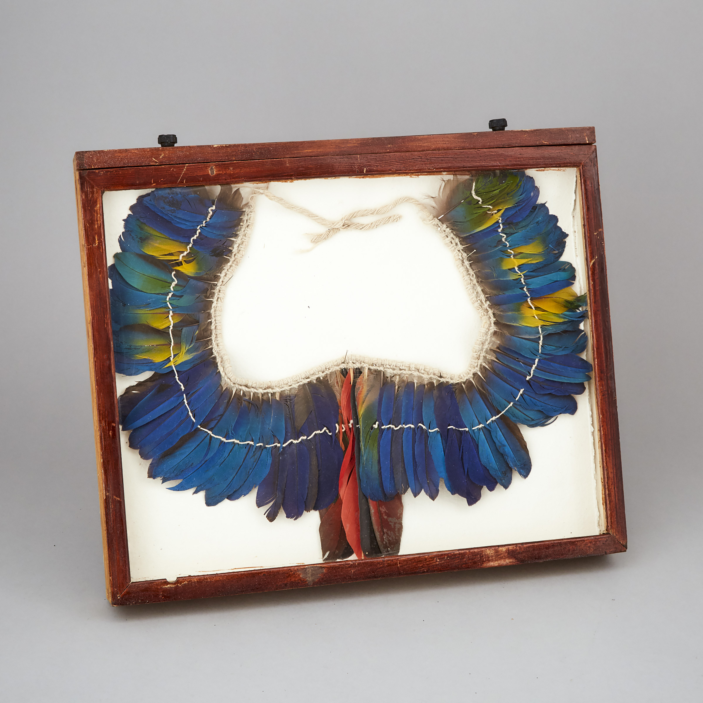 Kayapó Parrot Feather Diadem, early 20th century