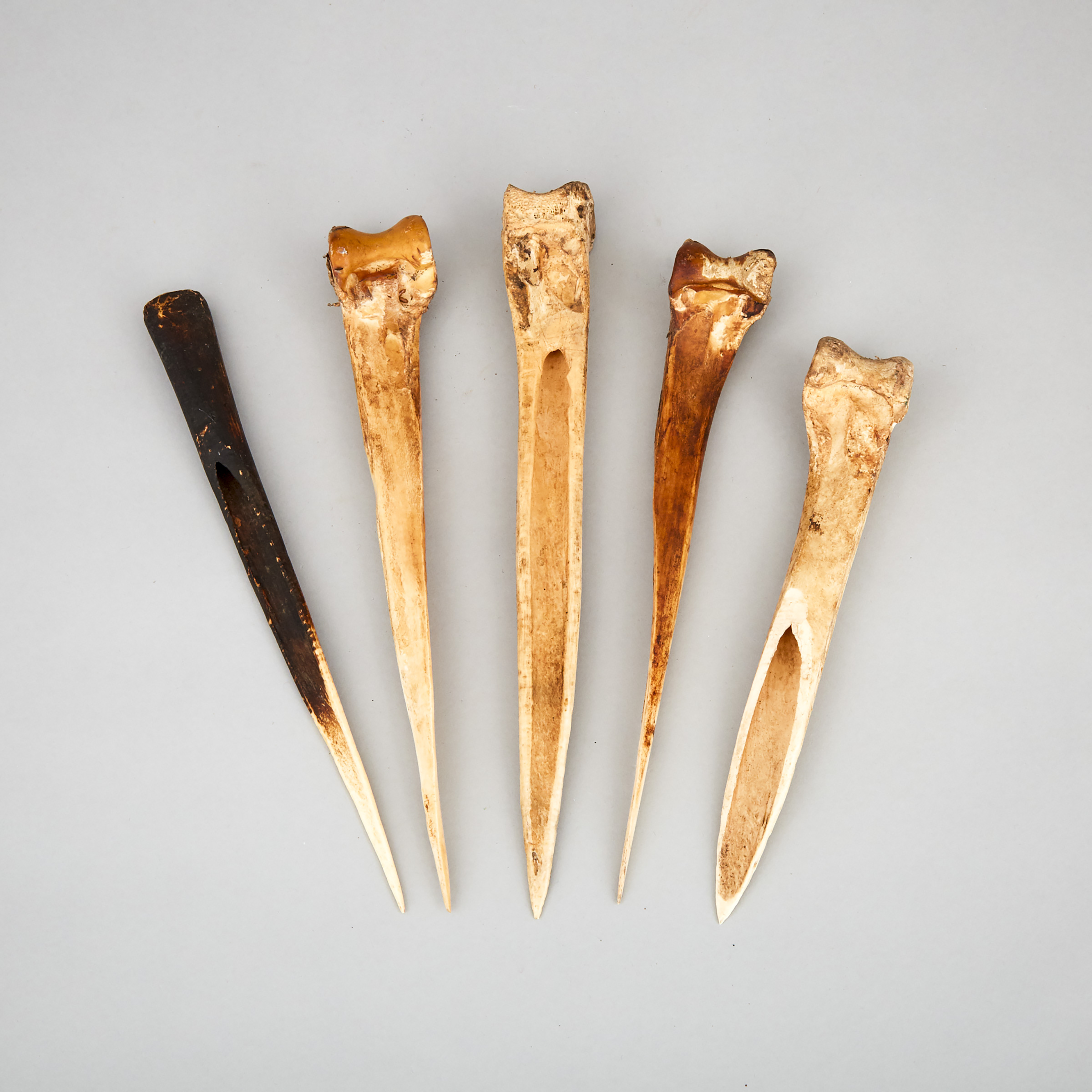 Five Abelam Cassowary Bone Daggers, 19th/20th century