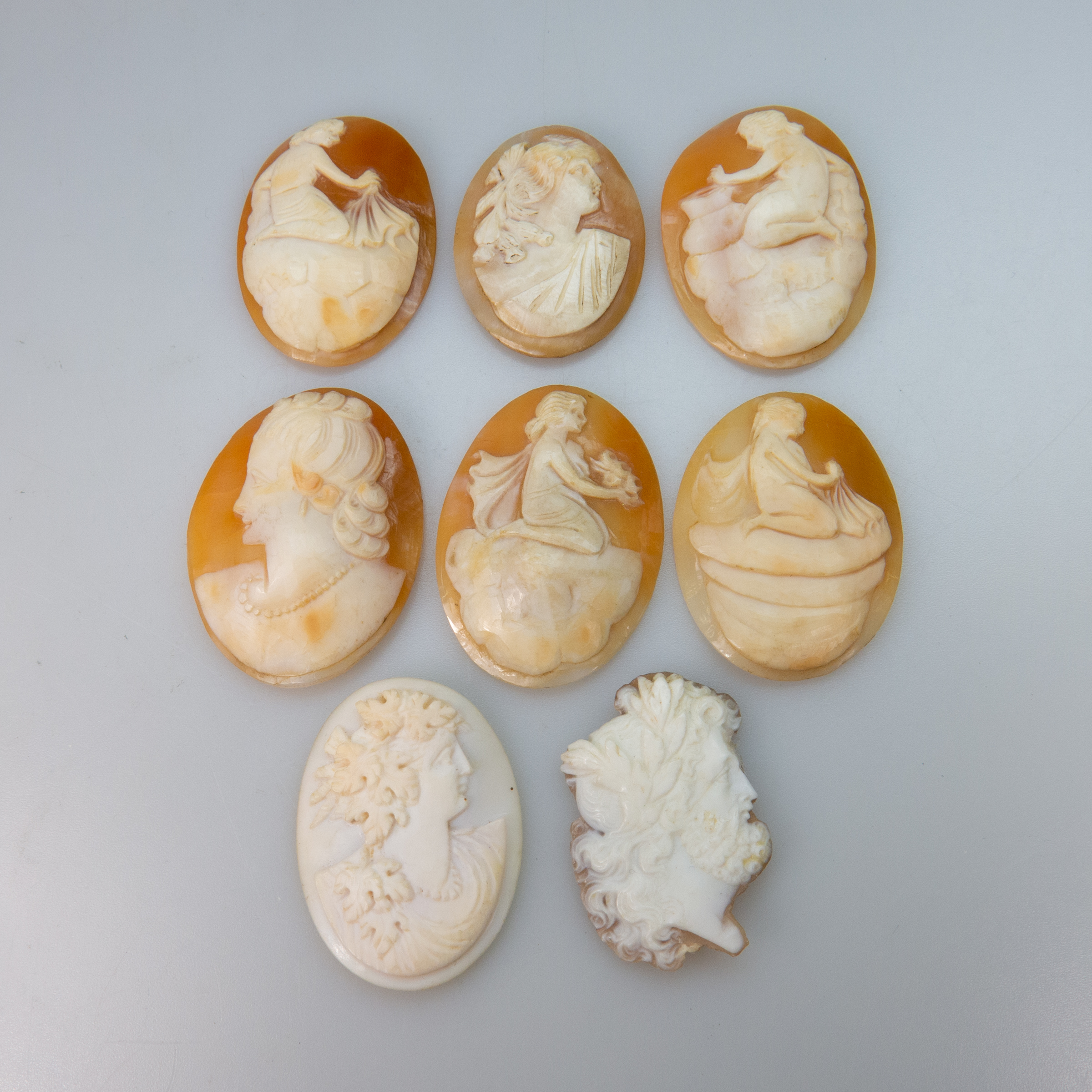 13 Various Carved Shell Cameos