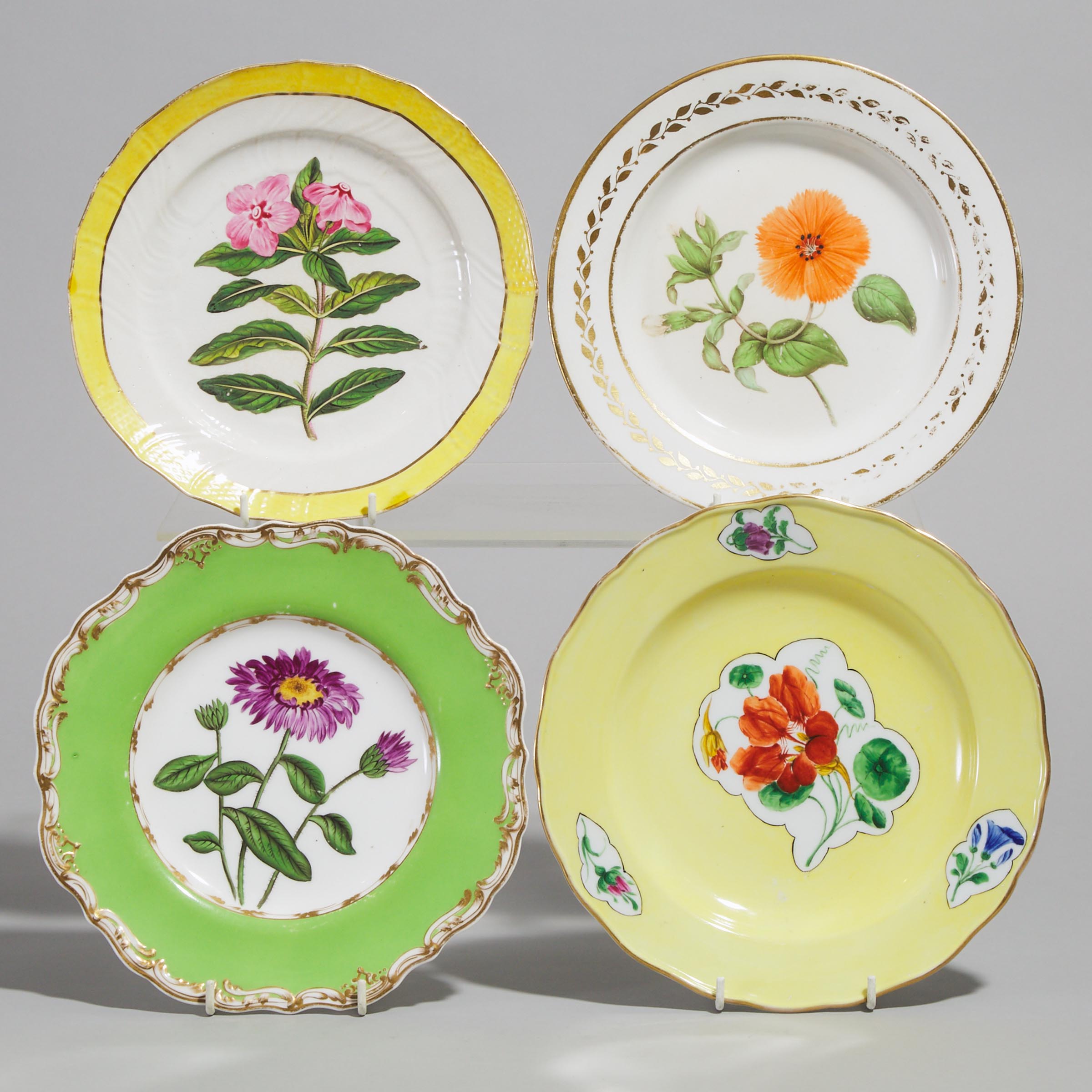 Four English and German Porcelain Botanical Plates, 19th century