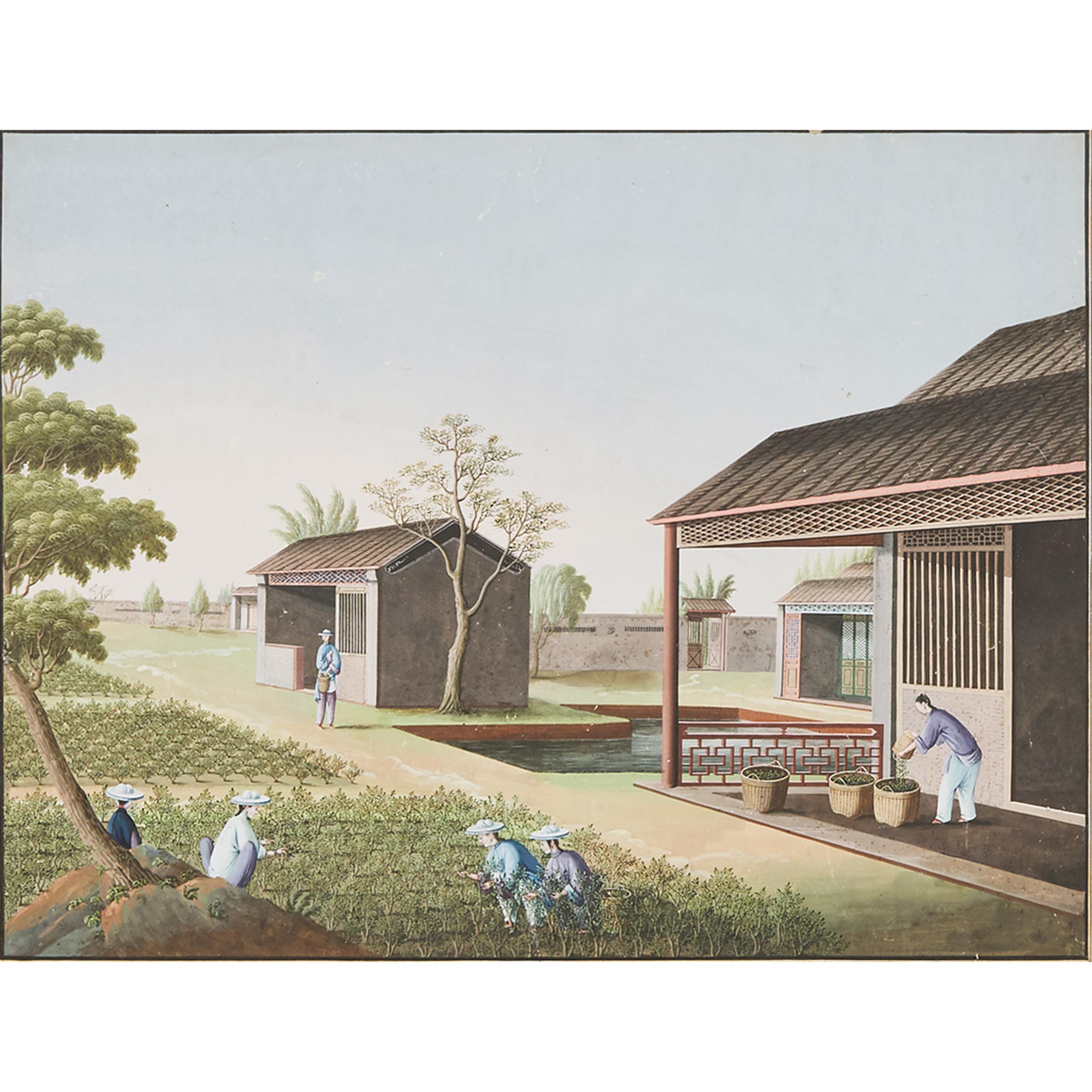 Canton School, A Group of Four Chinese Export 'Tea Cultivation' Paintings, Early 19th Century