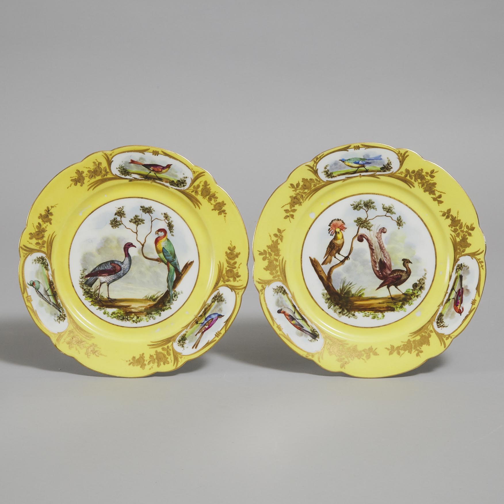 Pair of 'Sèvres' Yellow Ground Ornithological Plates, c.1900