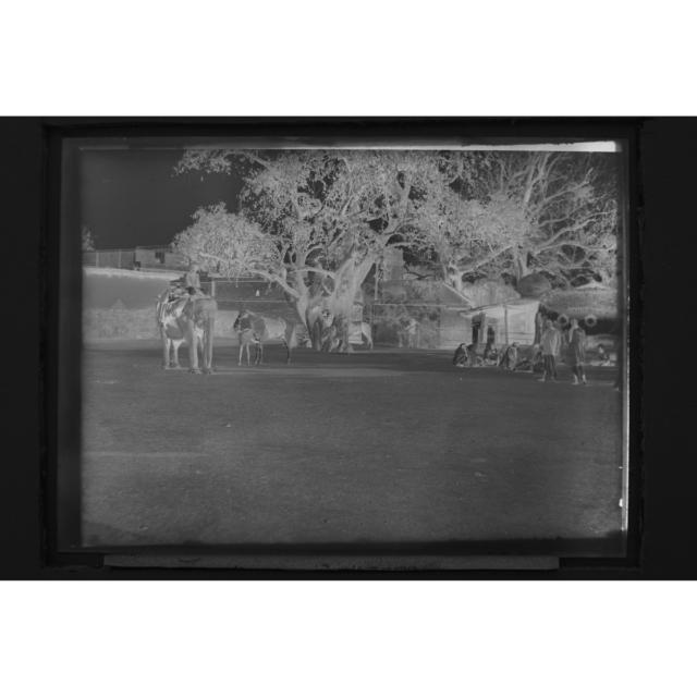 Approximately 160 Dry Collodion Glass Plate Negatives, mid-late 19th century