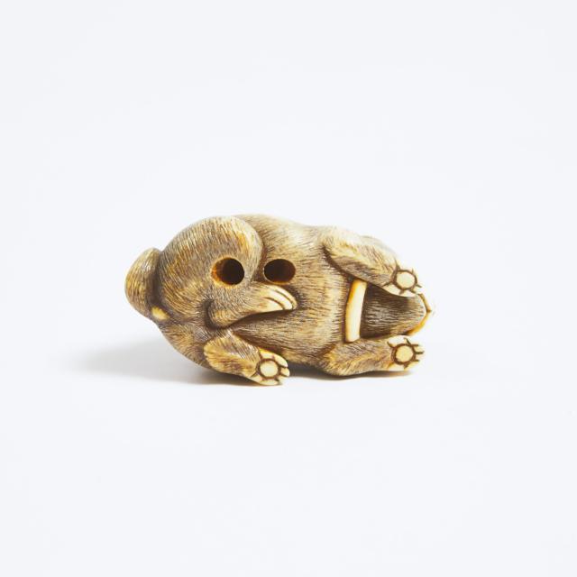 An Ivory Netsuke of a Reclining Puppy, Mid 19th Century