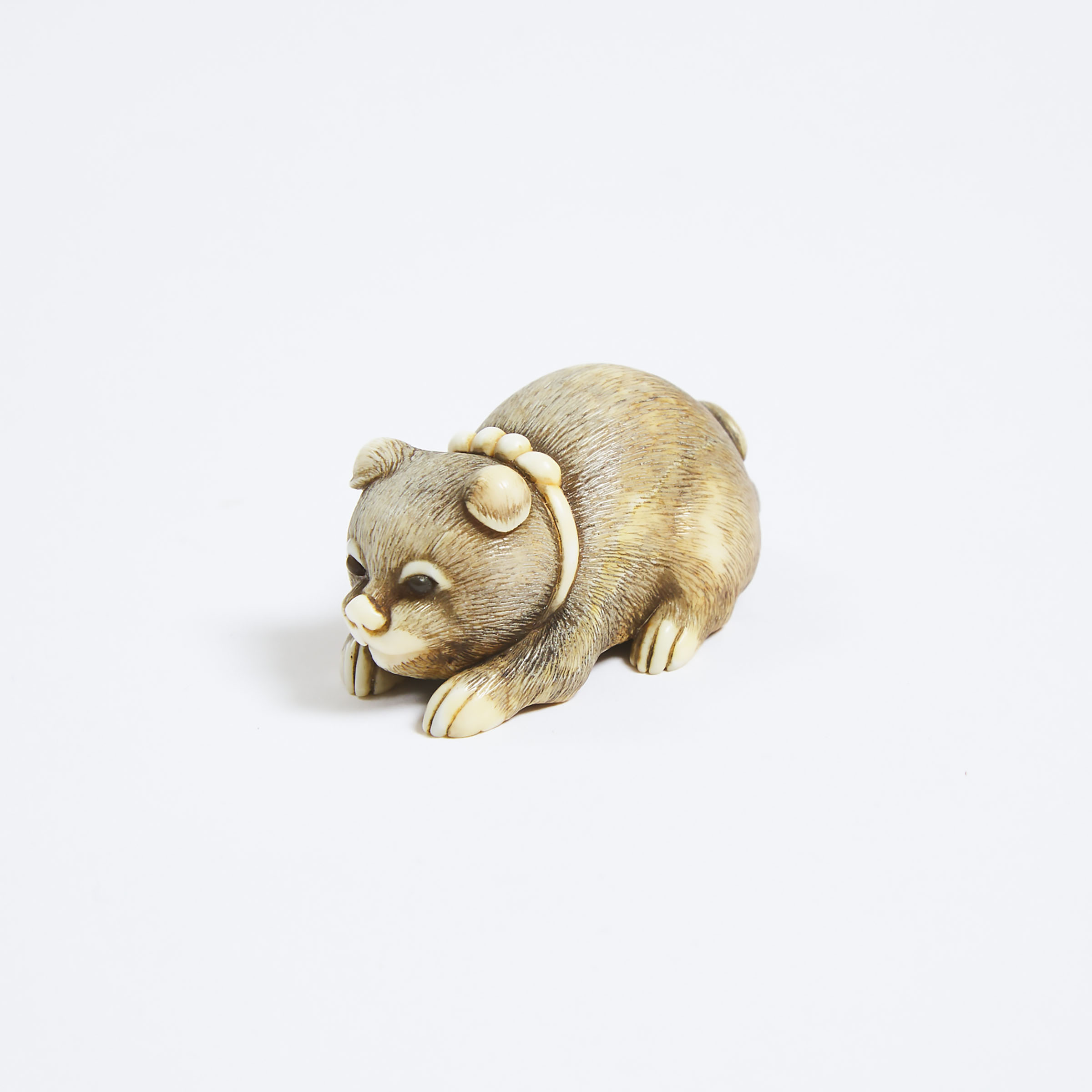 An Ivory Netsuke of a Reclining Puppy, Mid 19th Century