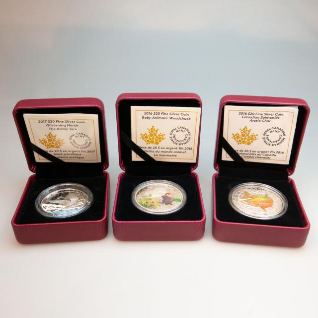 6 x Canadian 2015 to 2018 Pure Silver $20 Coins