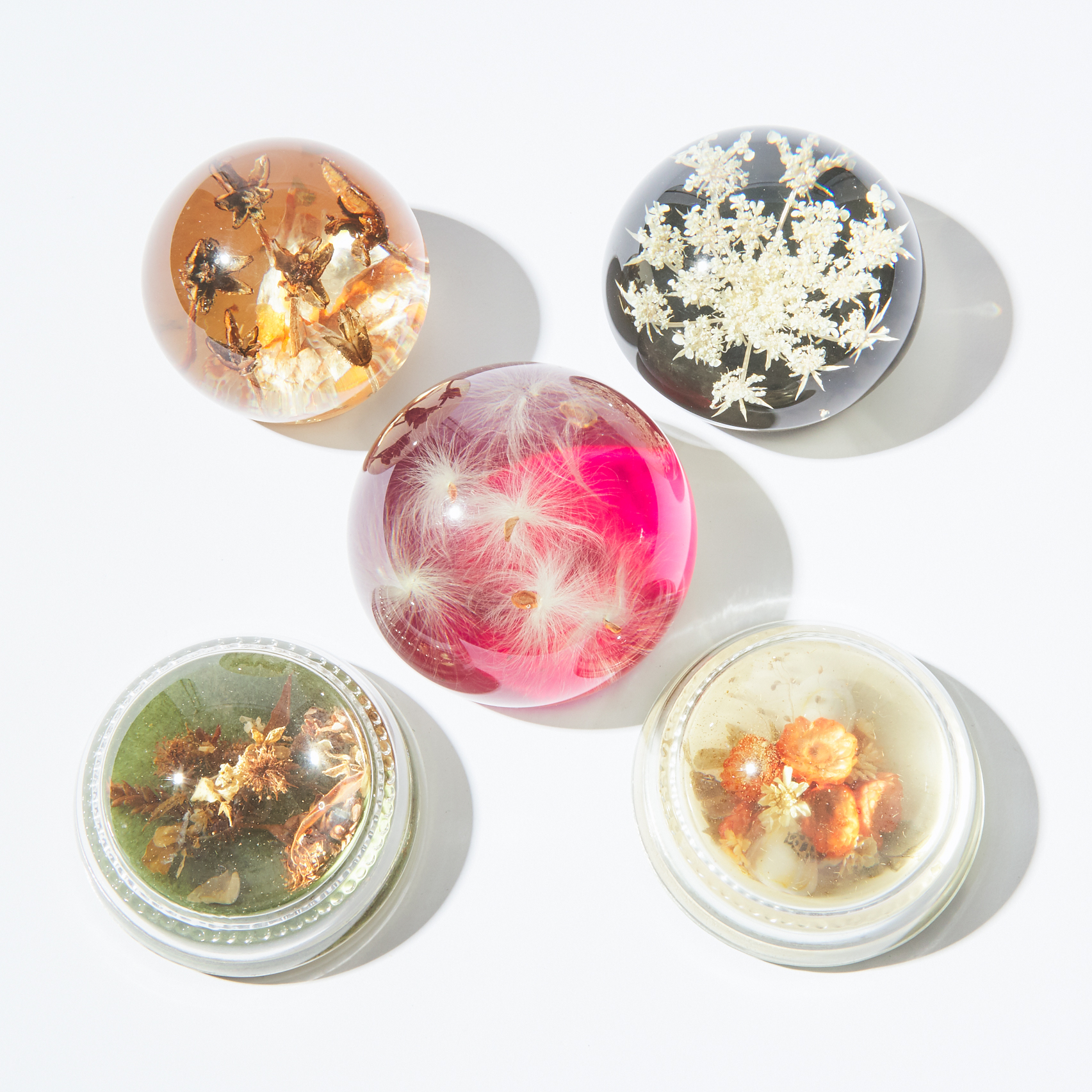 Five North American 'Nature Study' Lucite and Glass Paperweights, 20th century