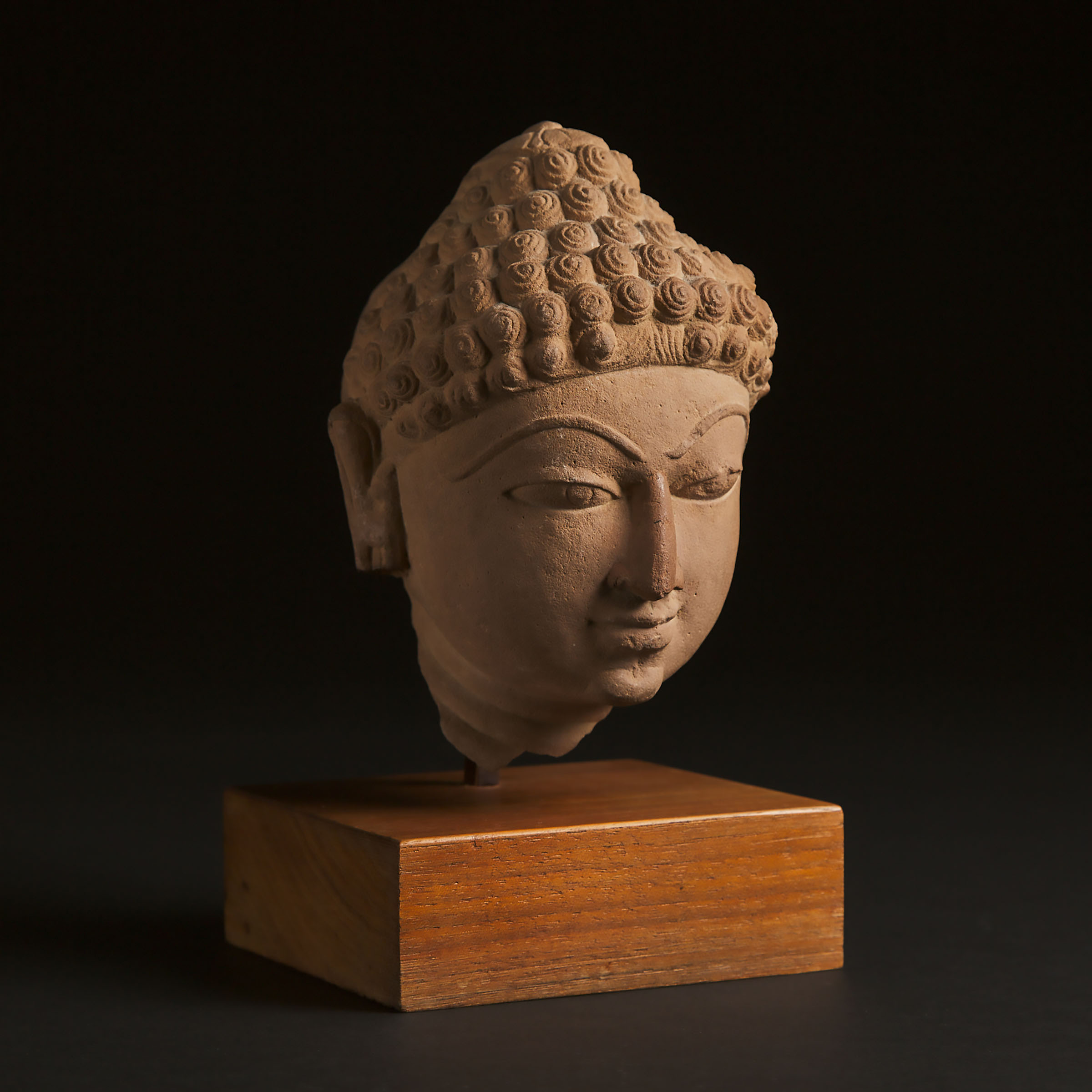 A Jain Sandstone Head of a Jina, Central India, 10th Century