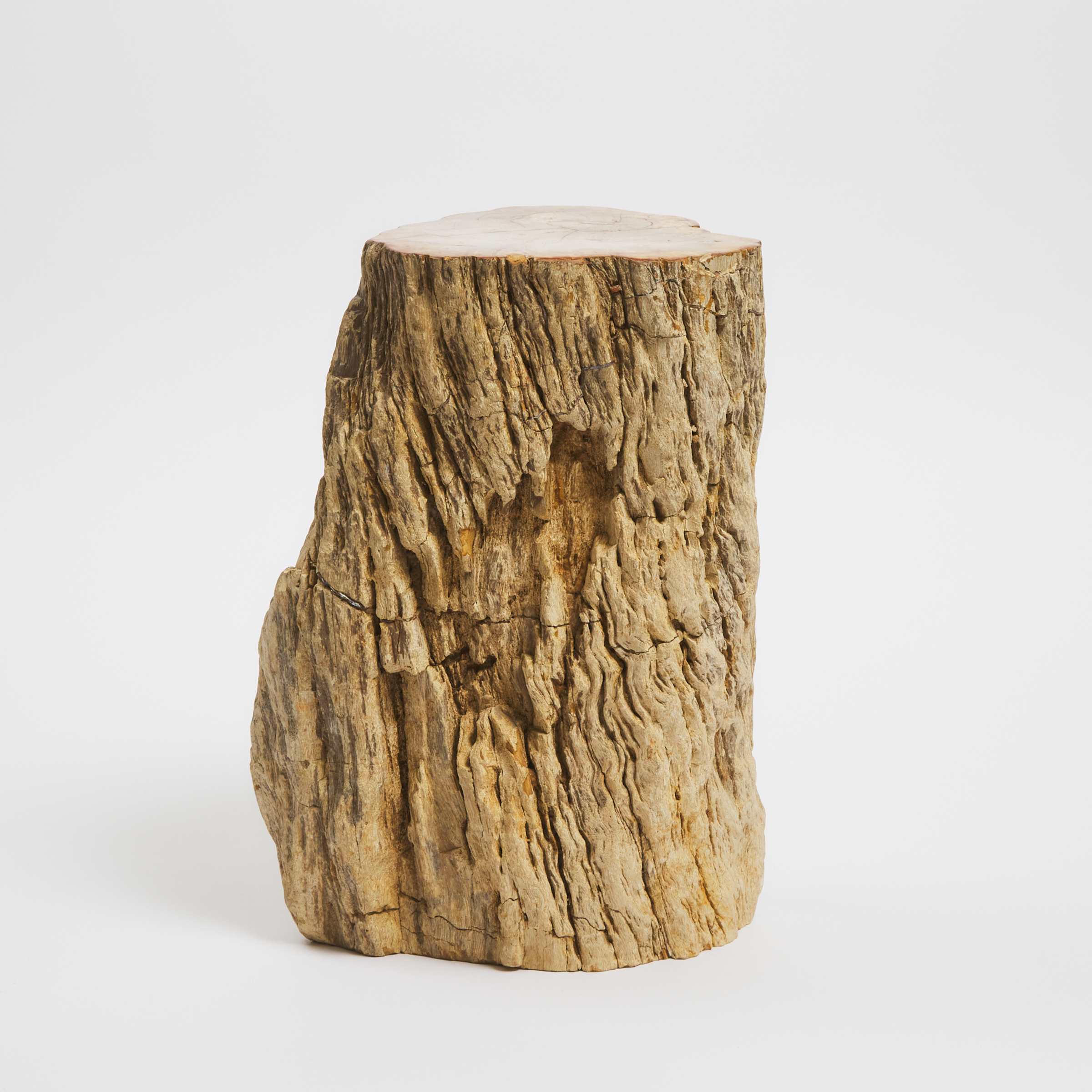 A Petrified Wood Stool