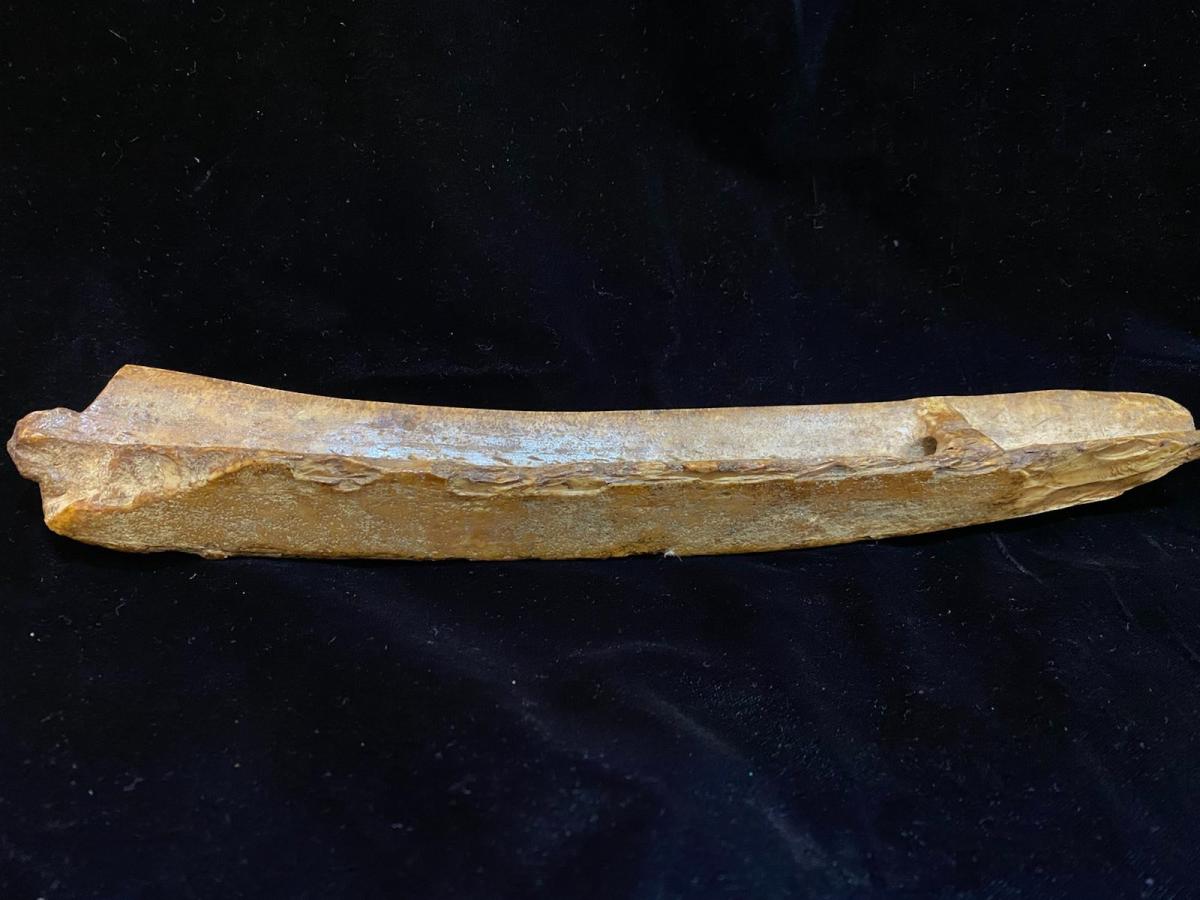 Fossilised Walrus Ivory Tusk Sled Runner Scrimshawed by Karen Lee Carmack, 20th century