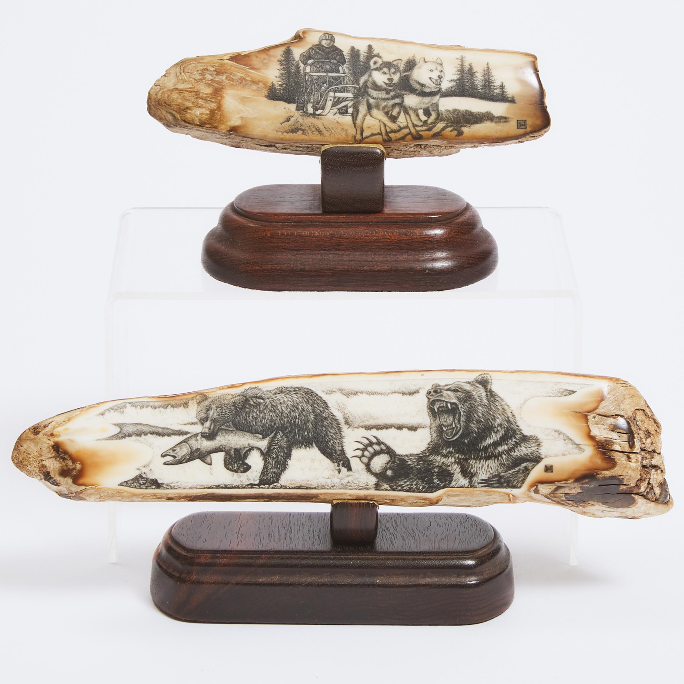 Two Scrimshawed Fossilised ivory Walrus Tusks, 20th century