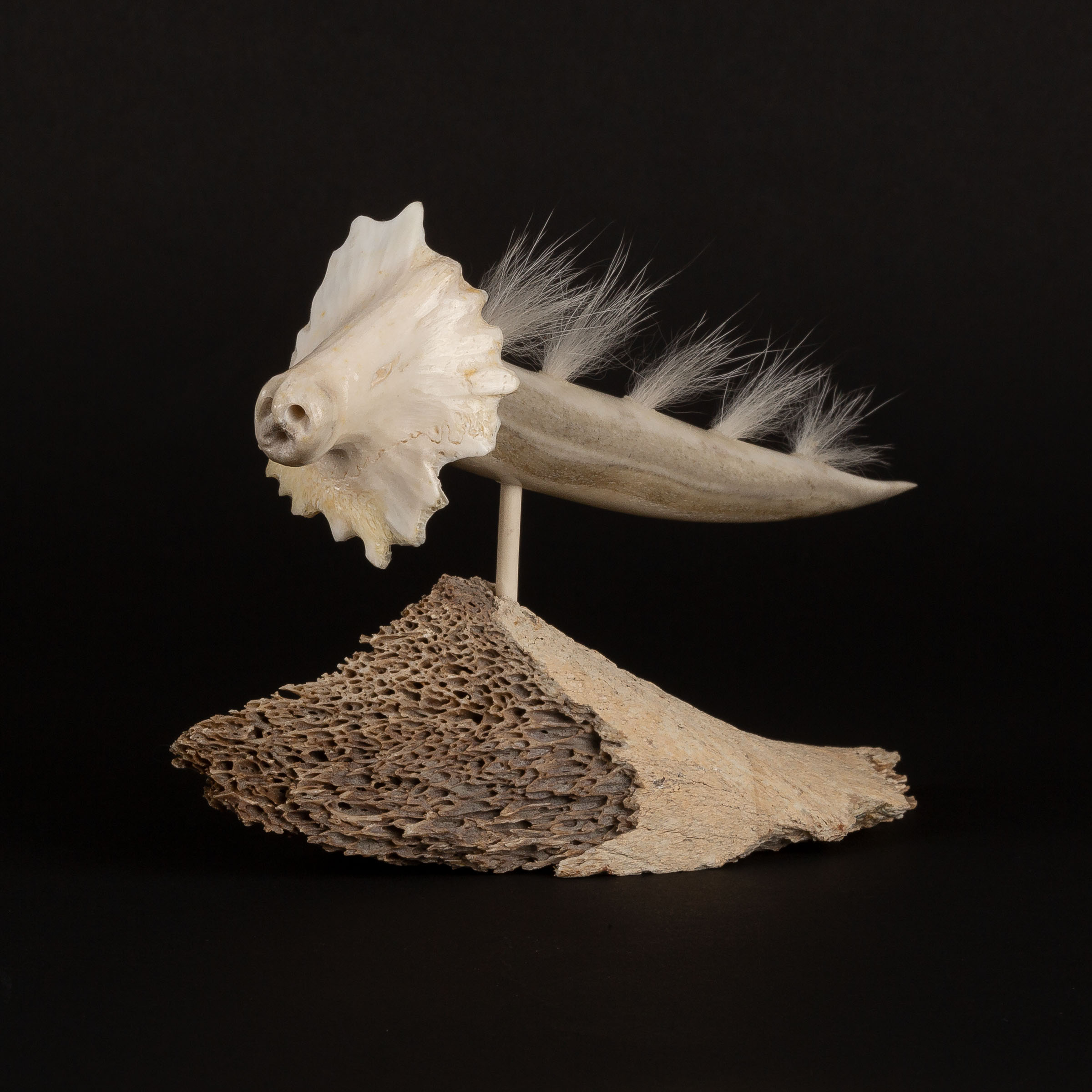 NICK SIKKUARK (1943-2013)