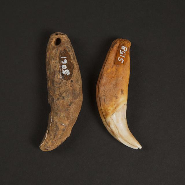 Two Polar Bear Tooth Amulets, Old Bering Sea,  Savoonga, Sivuqaq (St. Lawrence Island), Pre-1800