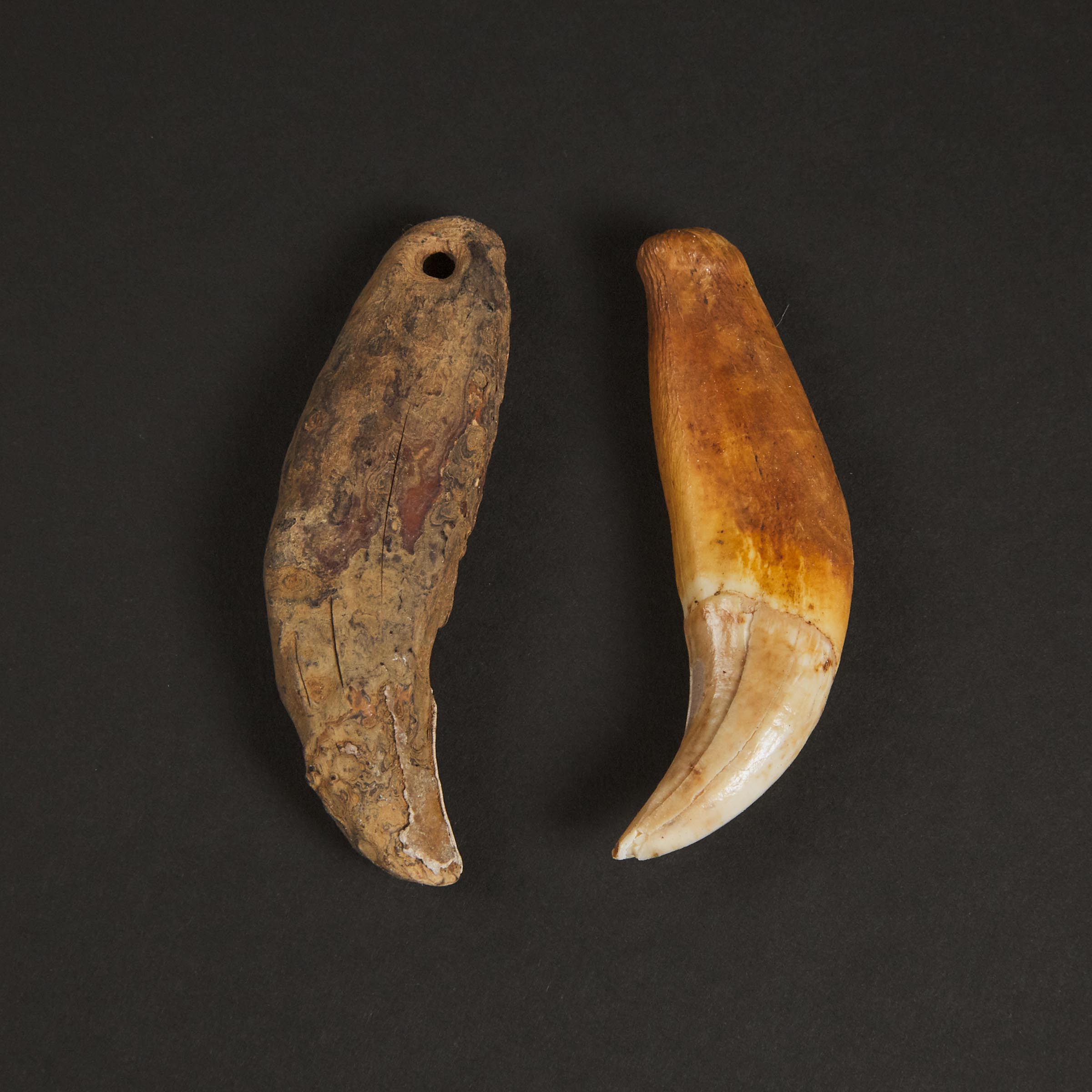 Two Polar Bear Tooth Amulets, Old Bering Sea,  Savoonga, Sivuqaq (St. Lawrence Island), Pre-1800