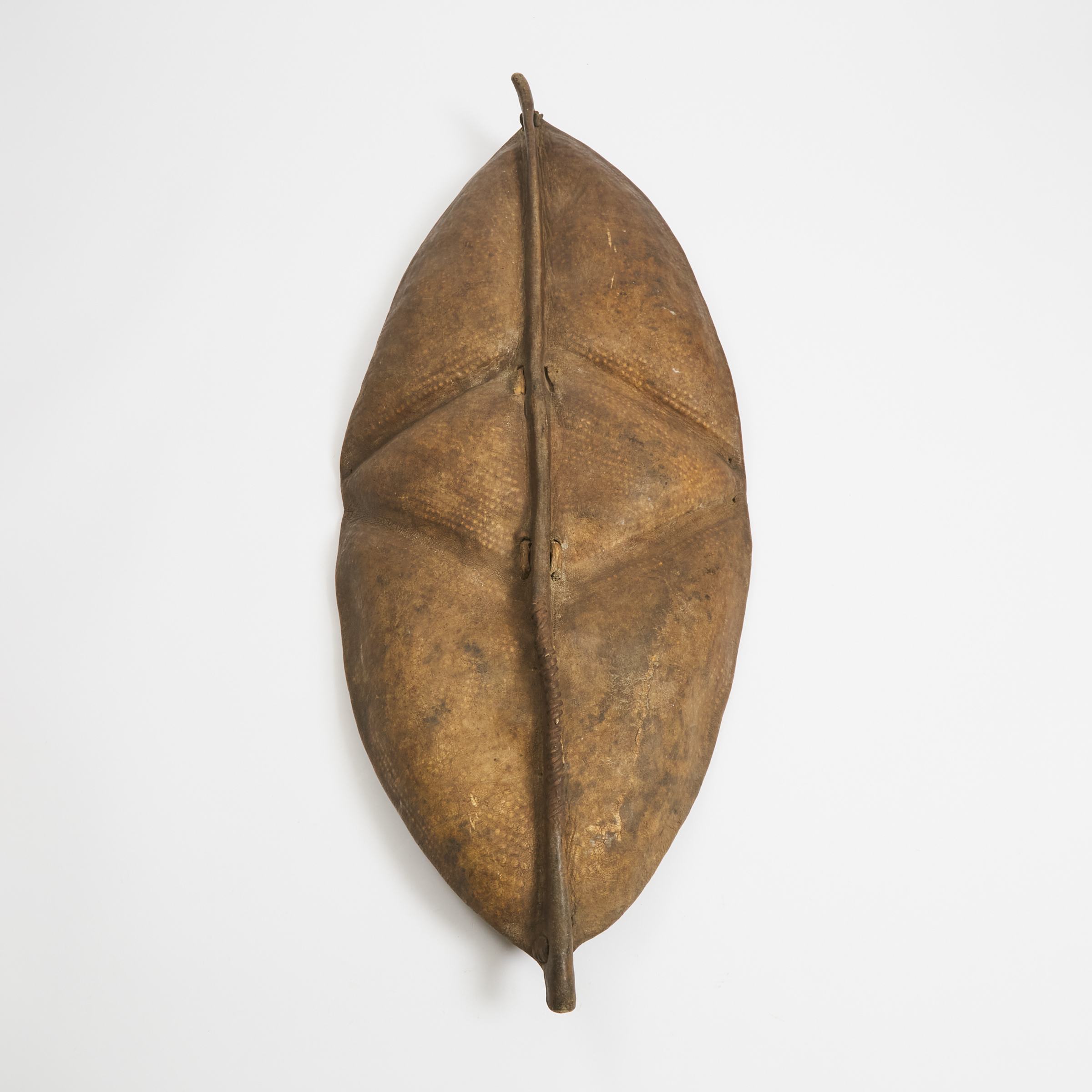 African Hide Shield, possibly Konso, Ethiopian, 19th/20th century