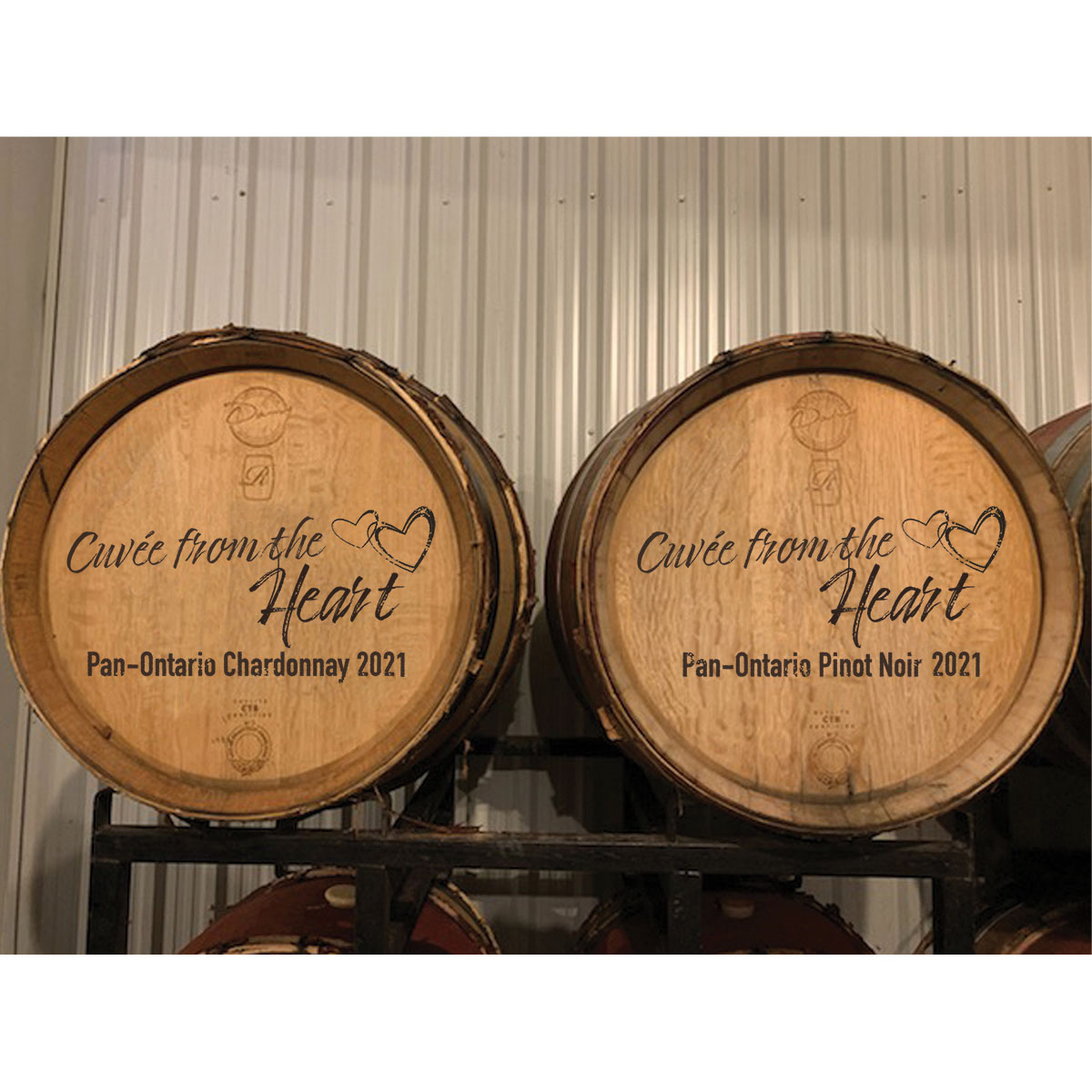 FROM THE HEART CUVÉE # 3 CHARDONNAY 2021 (3 MAG.)
FROM THE HEART CUVÉE # 3 PINOT NOIR 2021 (3 MAG.)