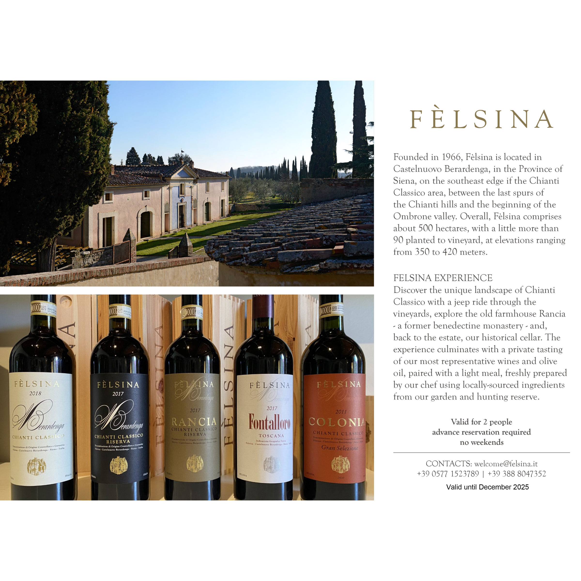 Felsina VIP Tour and Tasting in Chianti