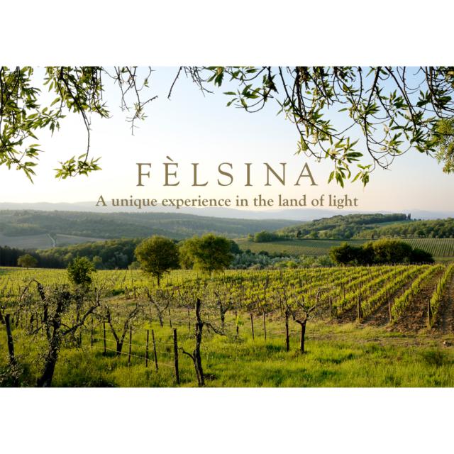 Felsina VIP Tour and Tasting in Chianti