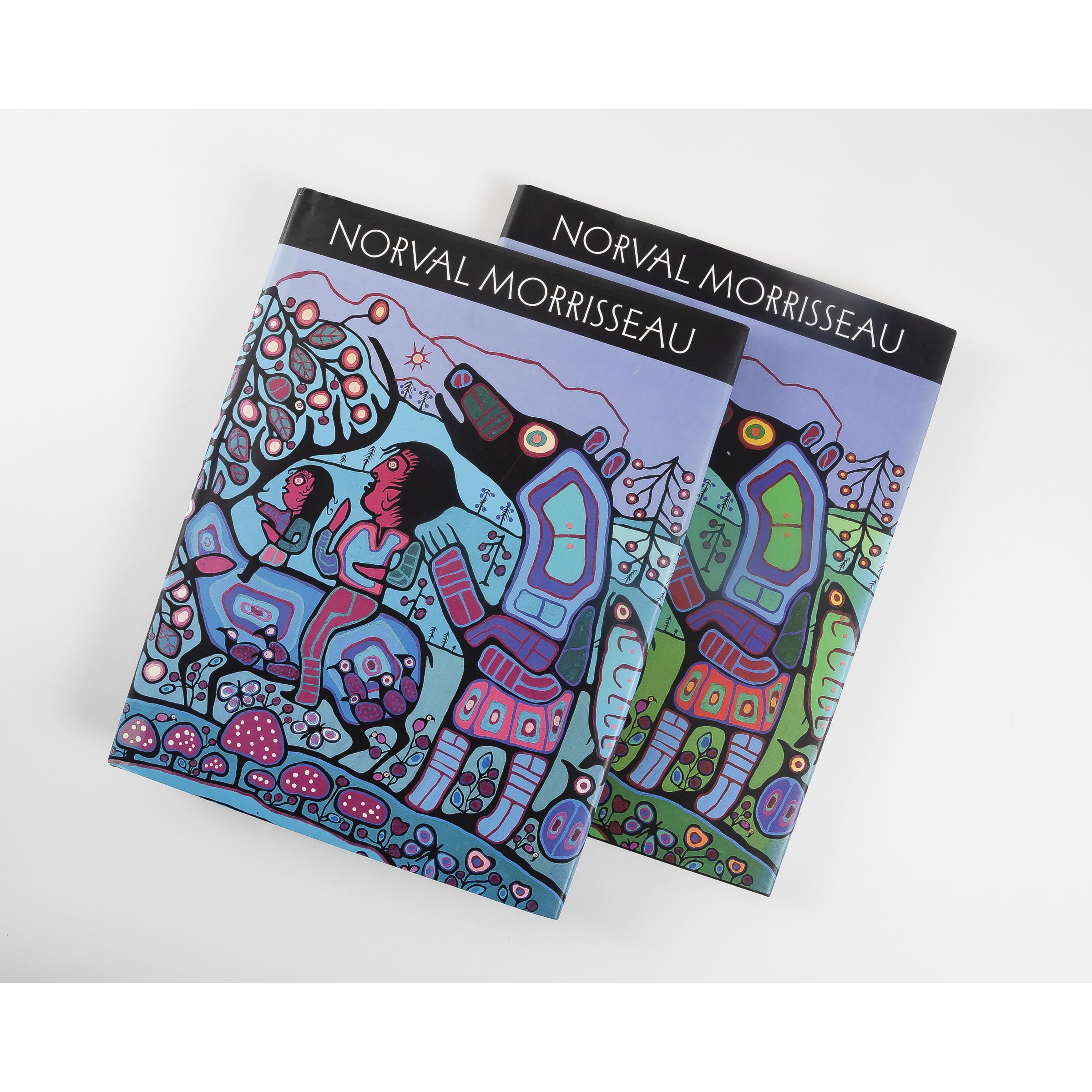 DONALD CYRIL ROBINSON AND NORVAL MORRISSEAU