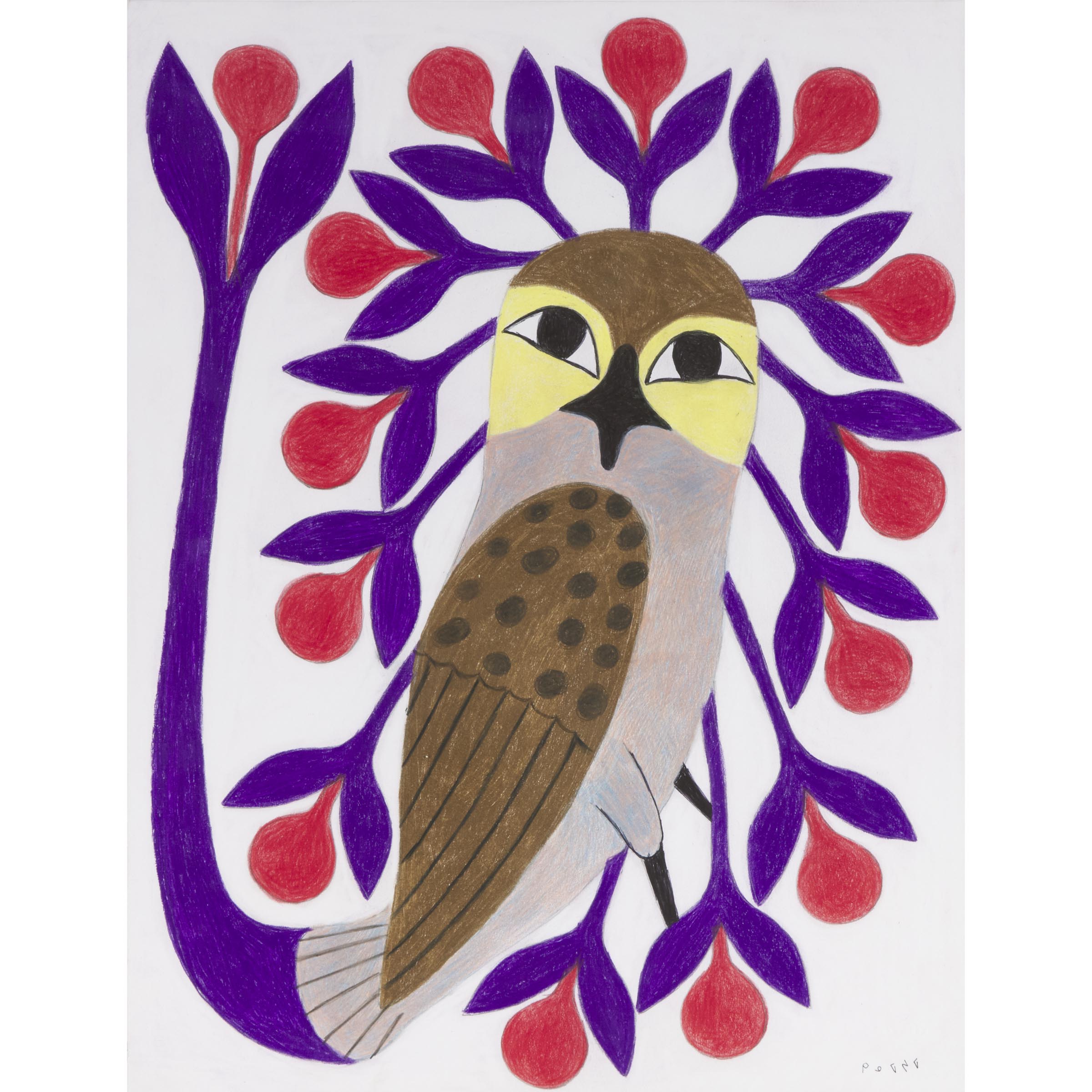 Kenojuak Ashevak ᑭᓄᐊᔪᐊ ᐊᓯᕙ, CC, RCA (1927-2013)