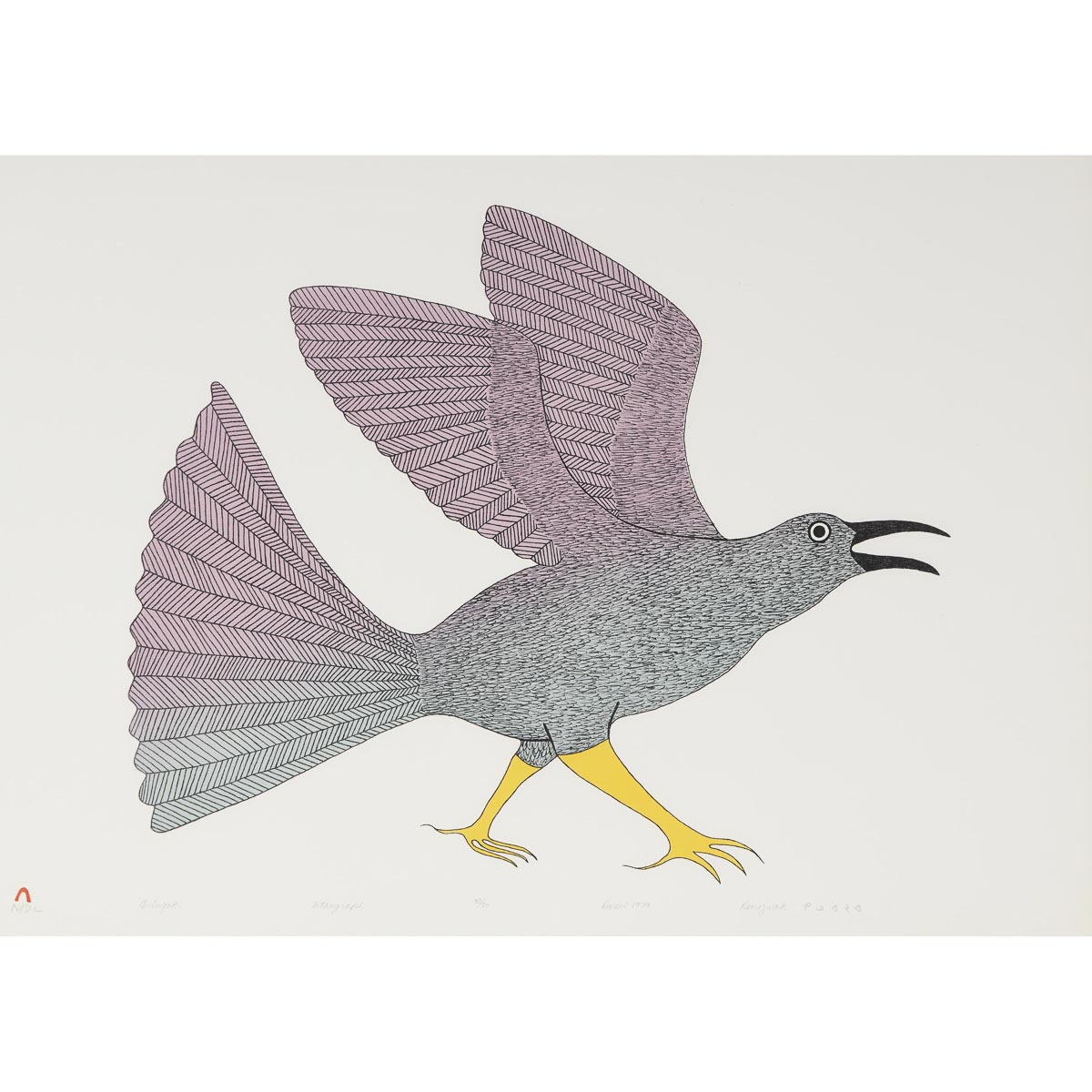 Kenojuak Ashevak ᑭᓄᐊᔭᐊ ᐊᓯᕗ, CC, RCA (1927-2013)