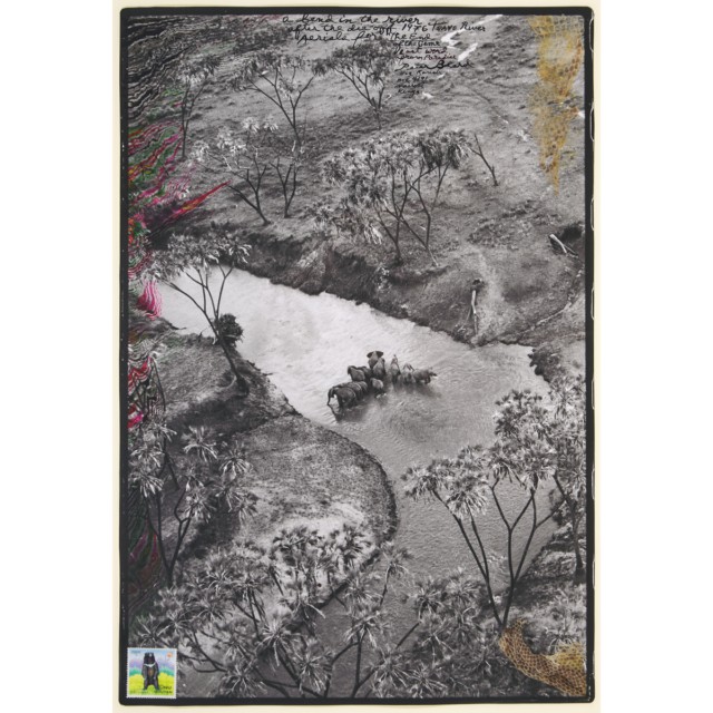 Peter Beard (1938-2020)