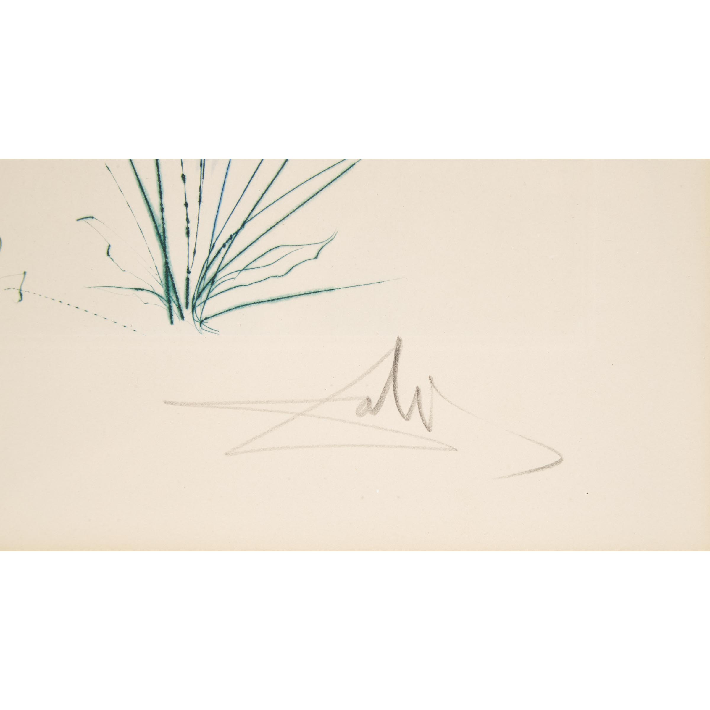 Salvador Dalì (1904-1989)