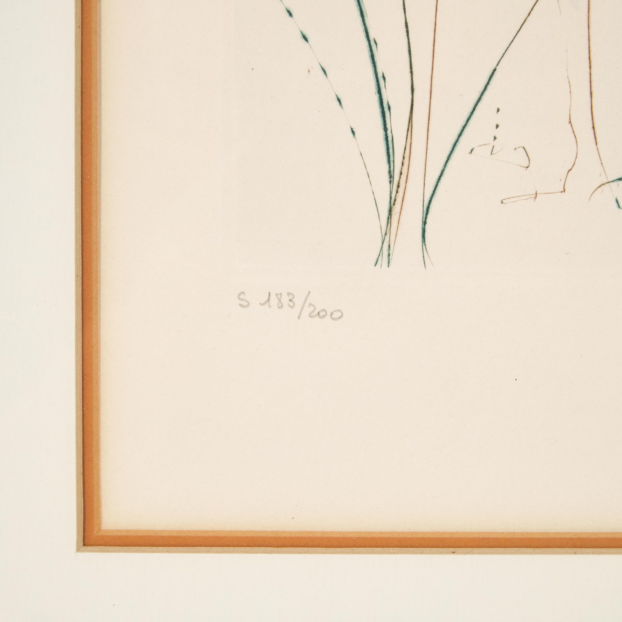 Salvador Dalì (1904-1989)