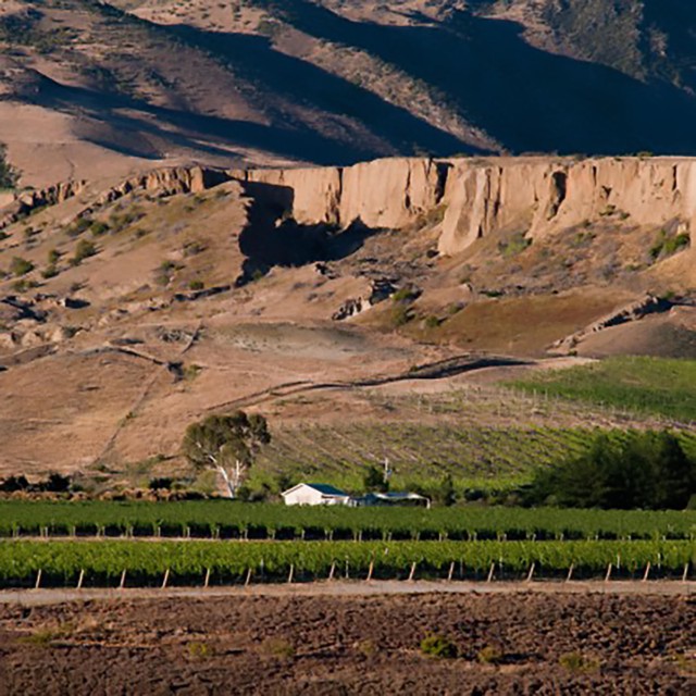 Felton Road New Zealand's South Island Iconic Winery and Equally Iconic Winemaker, Blair Walter