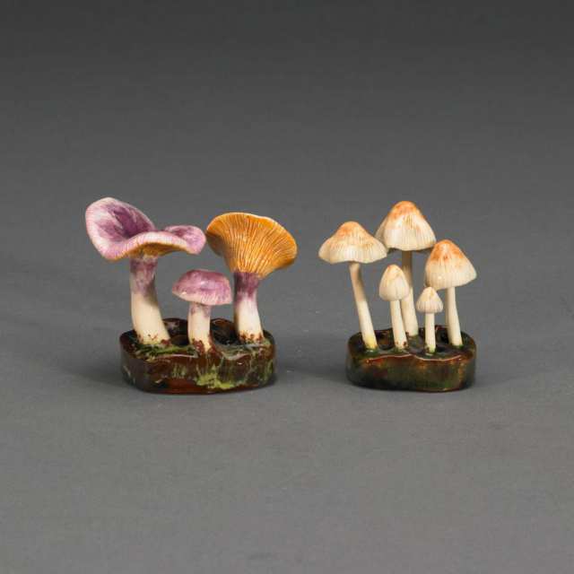 Four Lorenzen Groups of Mushrooms, 20th century