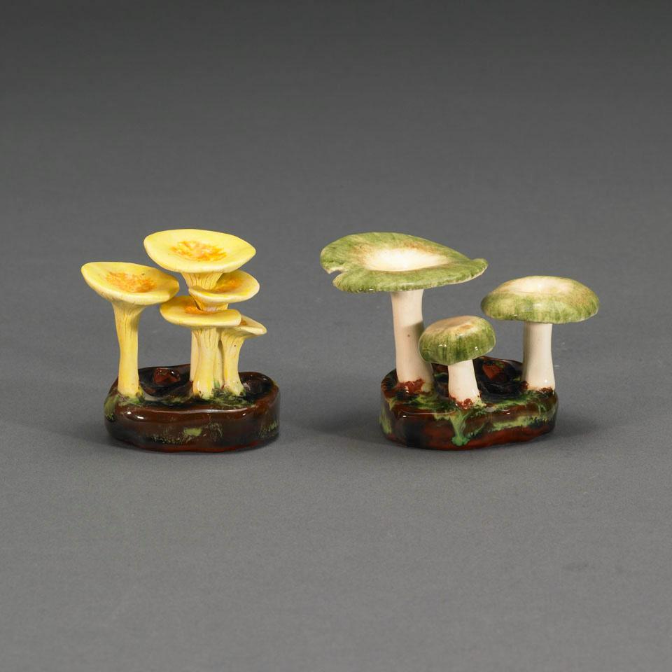 Four Lorenzen Groups of Mushrooms, 20th century
