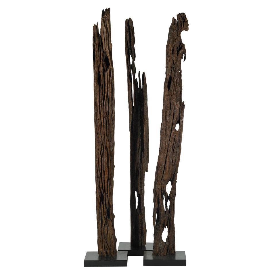 Group of Three Weathered Split Cedar Rails Now Lacquered and Mounted Standing, 20th century