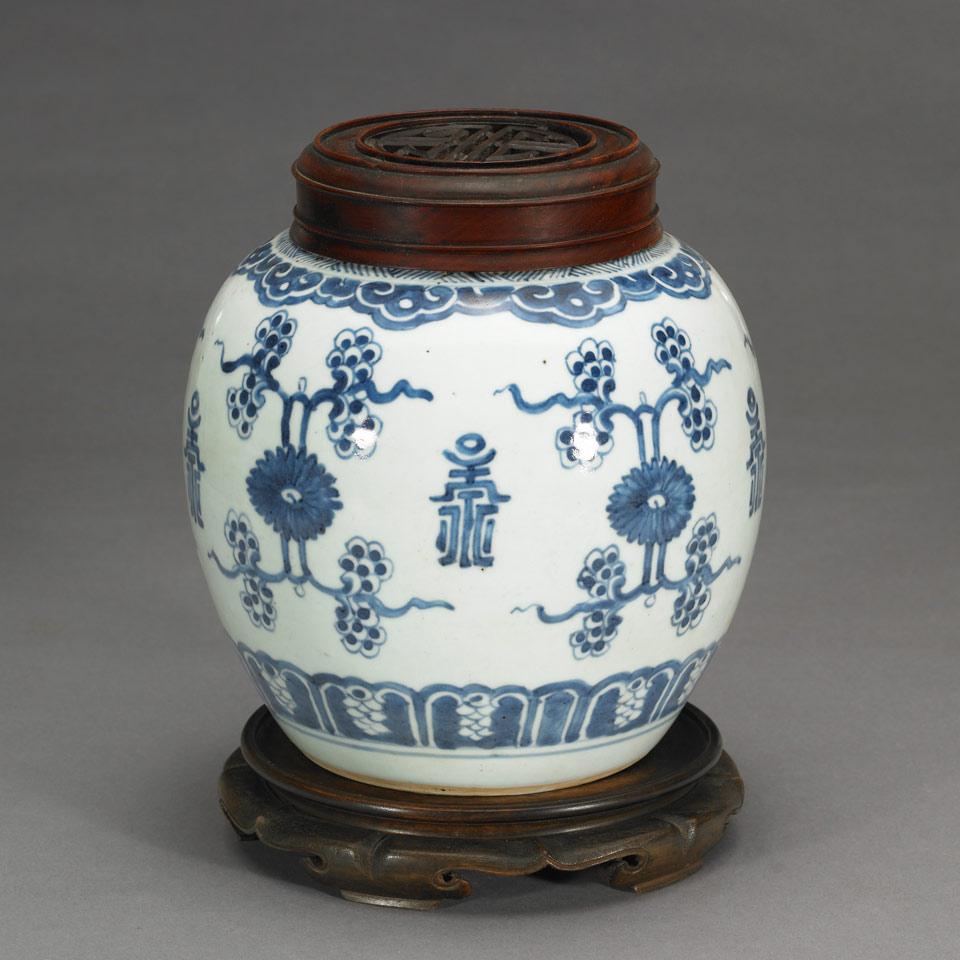 Blue and White Ginger Jar, Qing Dynasty, 19th Century