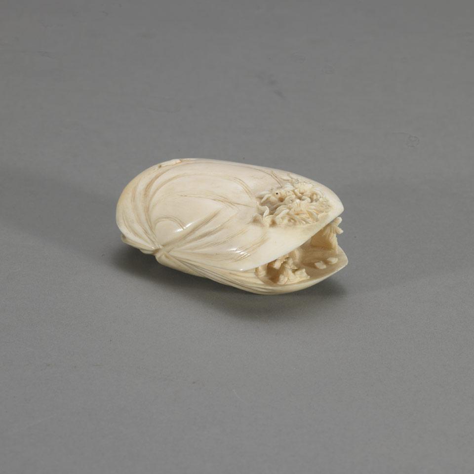 Ivory Carved Clam
