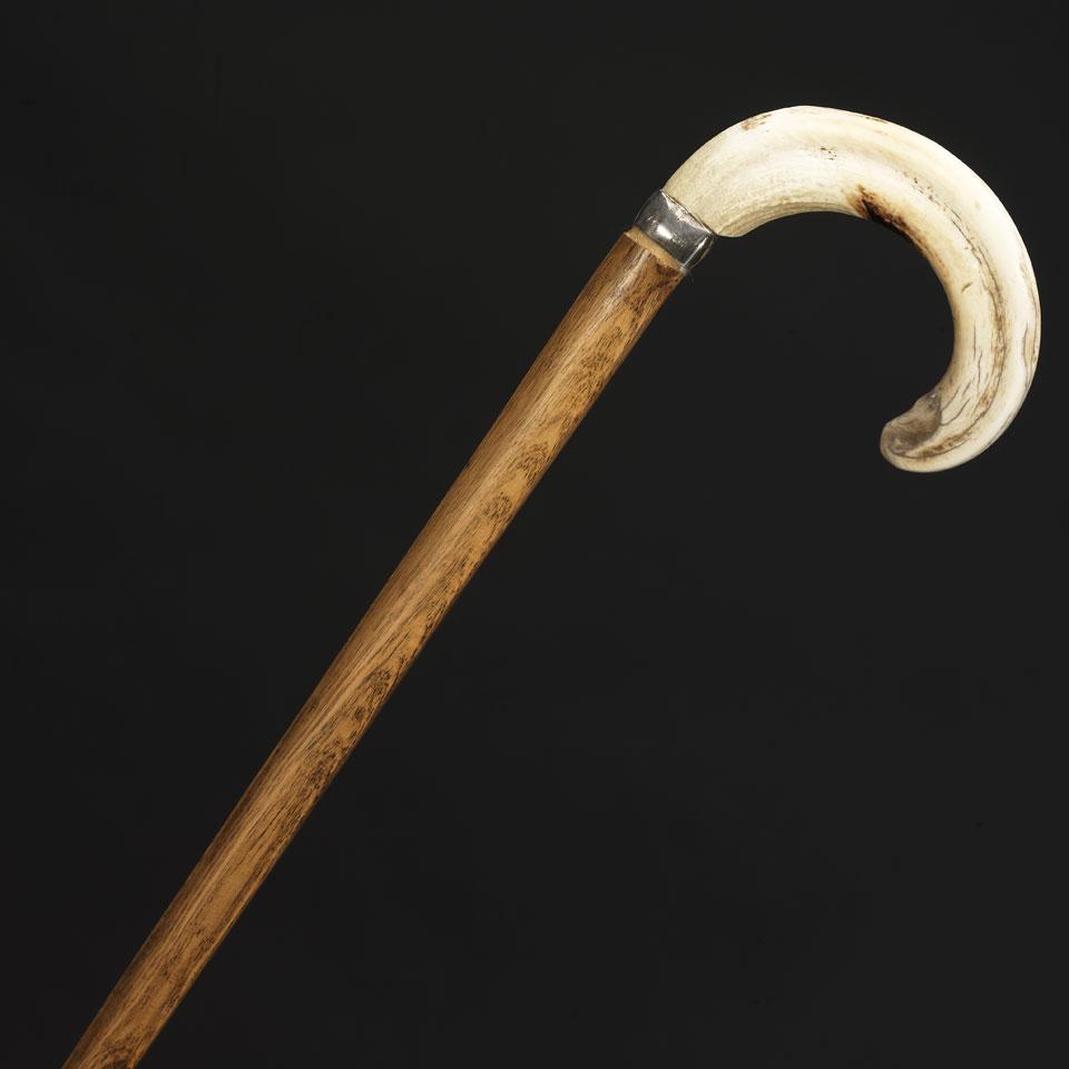 Boar Tusk and Silver Mounted Elm Cane, c.1900