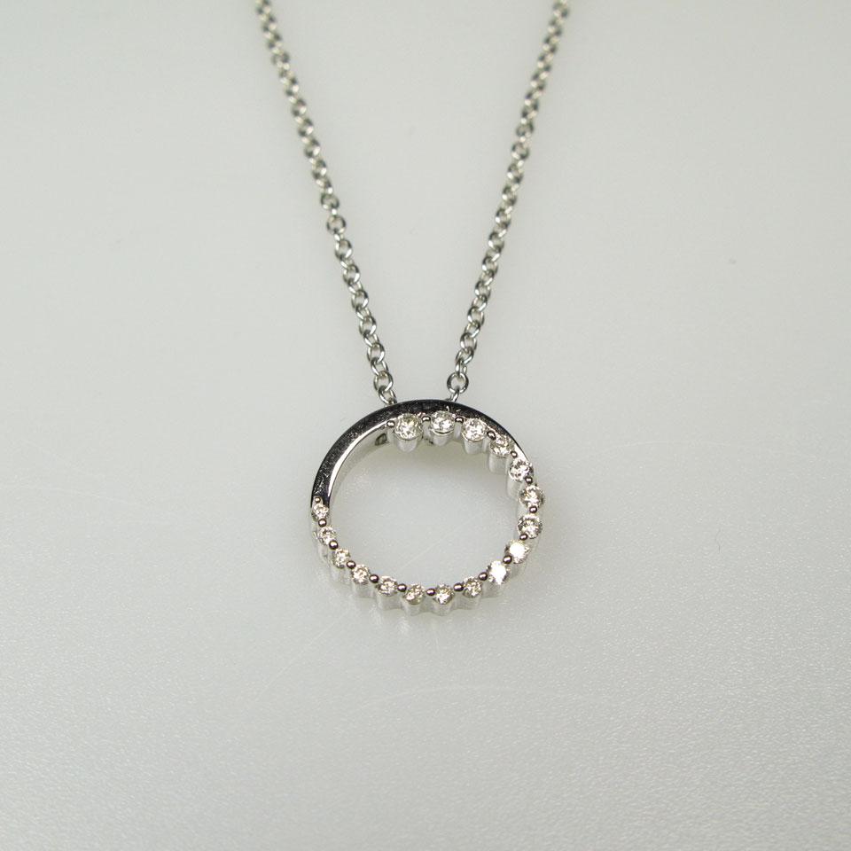 14k White Gold Chain and Pendant