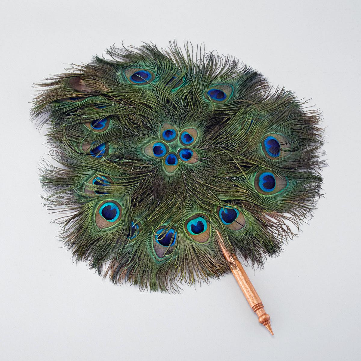 Export Peacock Feather Fan