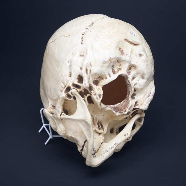 Sideshow Gaff Resin Model of an ‘Alien Skull’, 1997