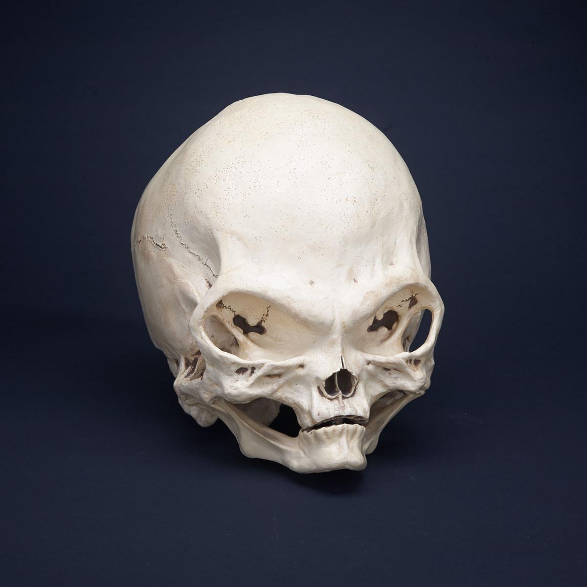 Sideshow Gaff Resin Model of an ‘Alien Skull’, 1997