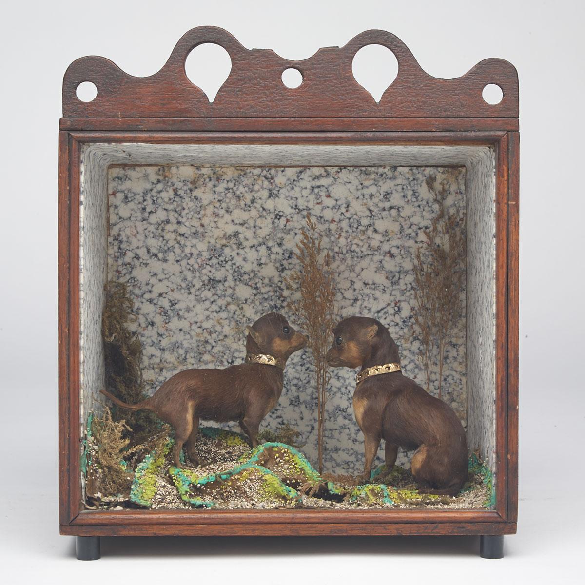 Victorian Taxidermy Diorama of Two Chihuahua Puppies in Landscape Setting, 19th century