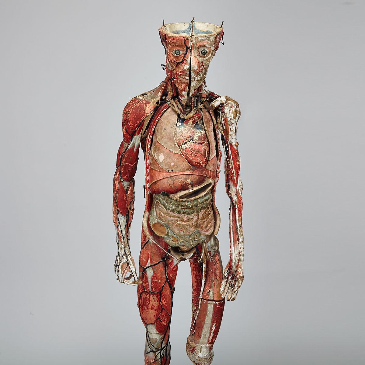 French Polychromed Composite Anatomical Model by Louis Thomas Jerome Auzoux (1797-1880), 19th century