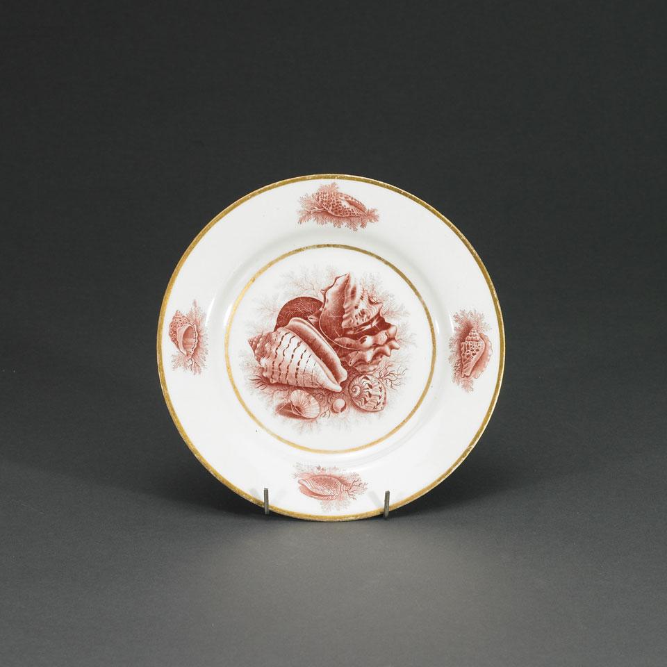Barr, Flight and Barr Worcester Shell Decorated Plate, c.1807-13