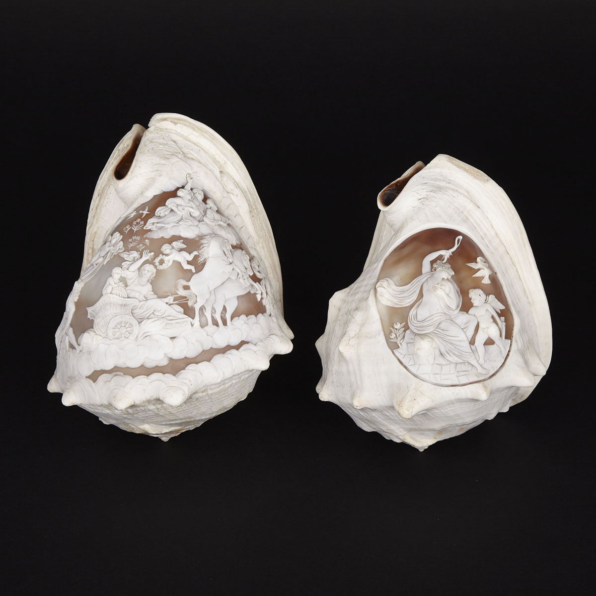 Two Neapolitan Italian Grand Tour Souvenir Cameo Carved Conch Shells, 19th/early 20th century