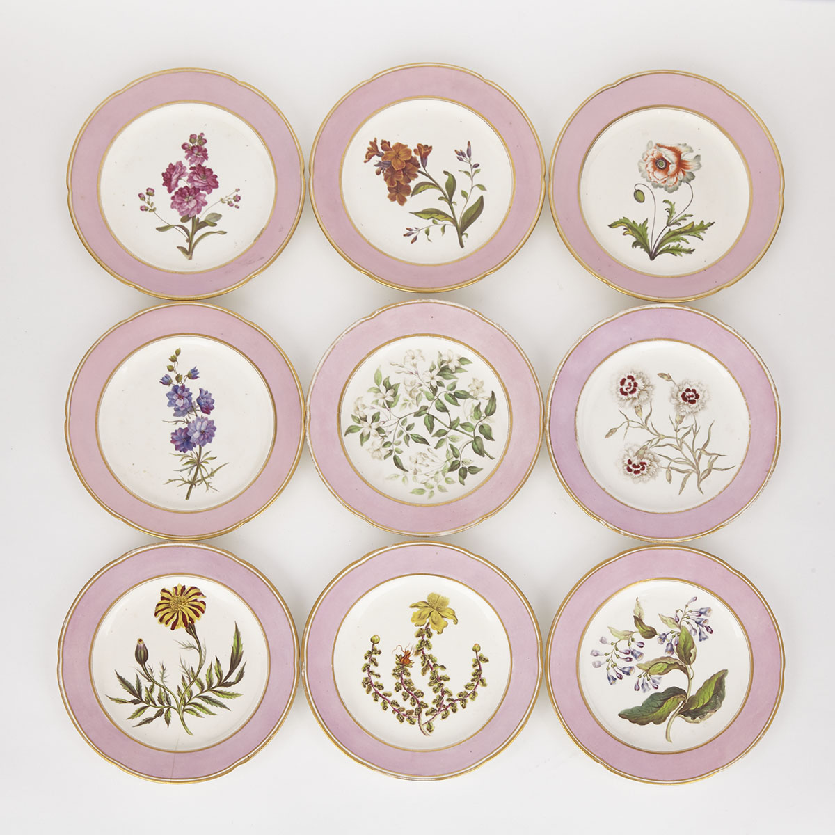 Nine Derby Botanical Dessert Plates, c.1795-1800