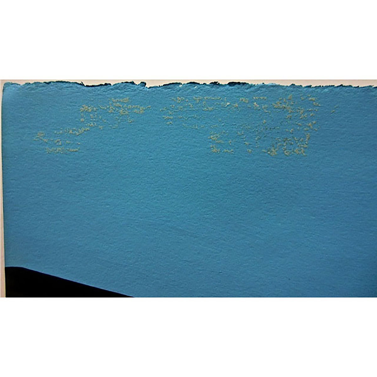 STEPHEN SNAKE (NATIVE CANADIAN, 1966-)   