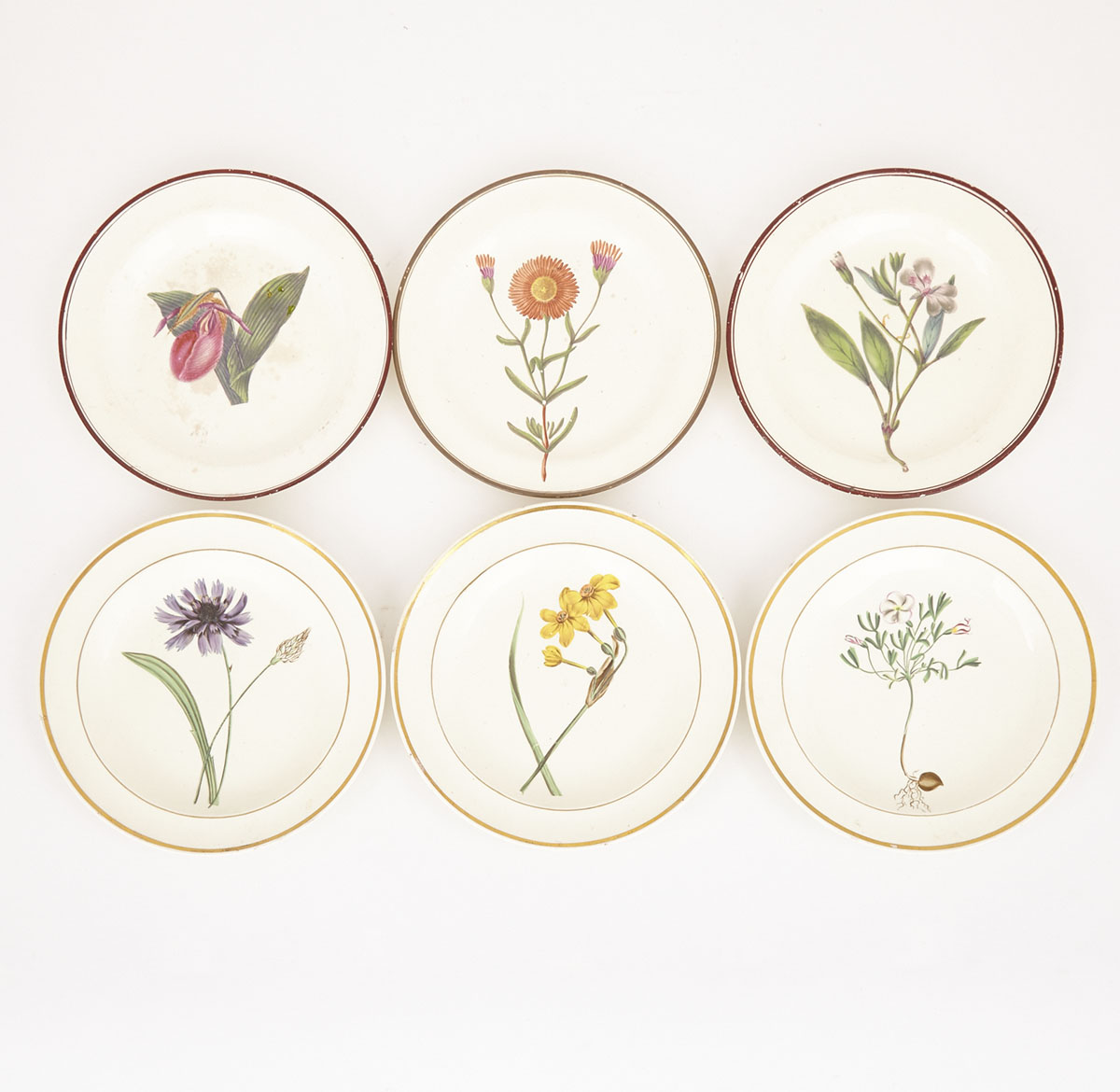 Group of Six English Creamware Botanical Plates, early 19th century