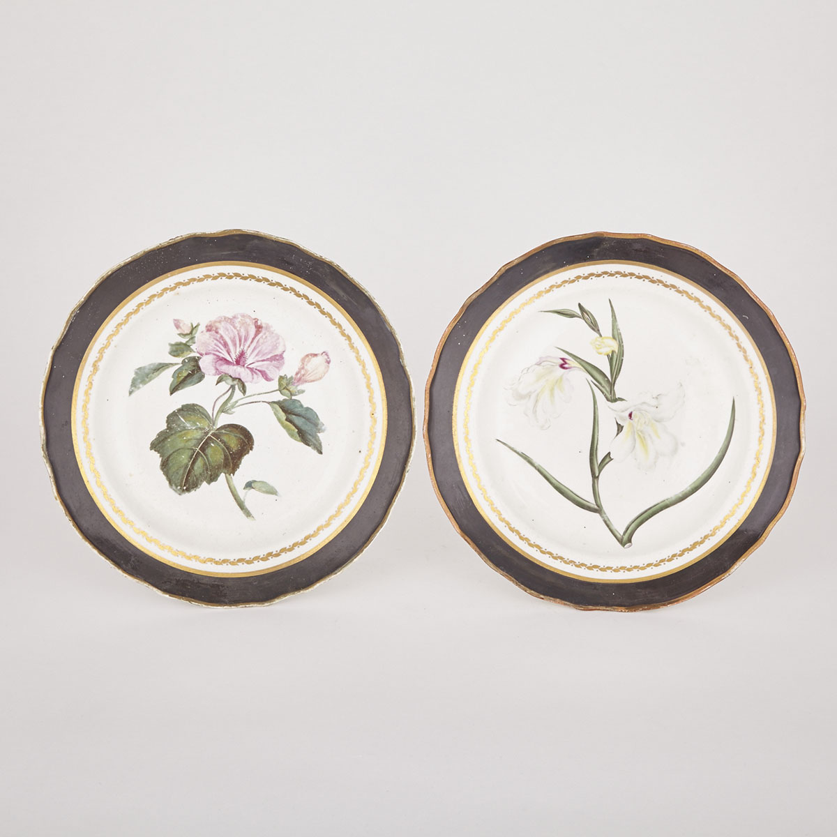 Pair of Derby Botanical Plates, c.1800